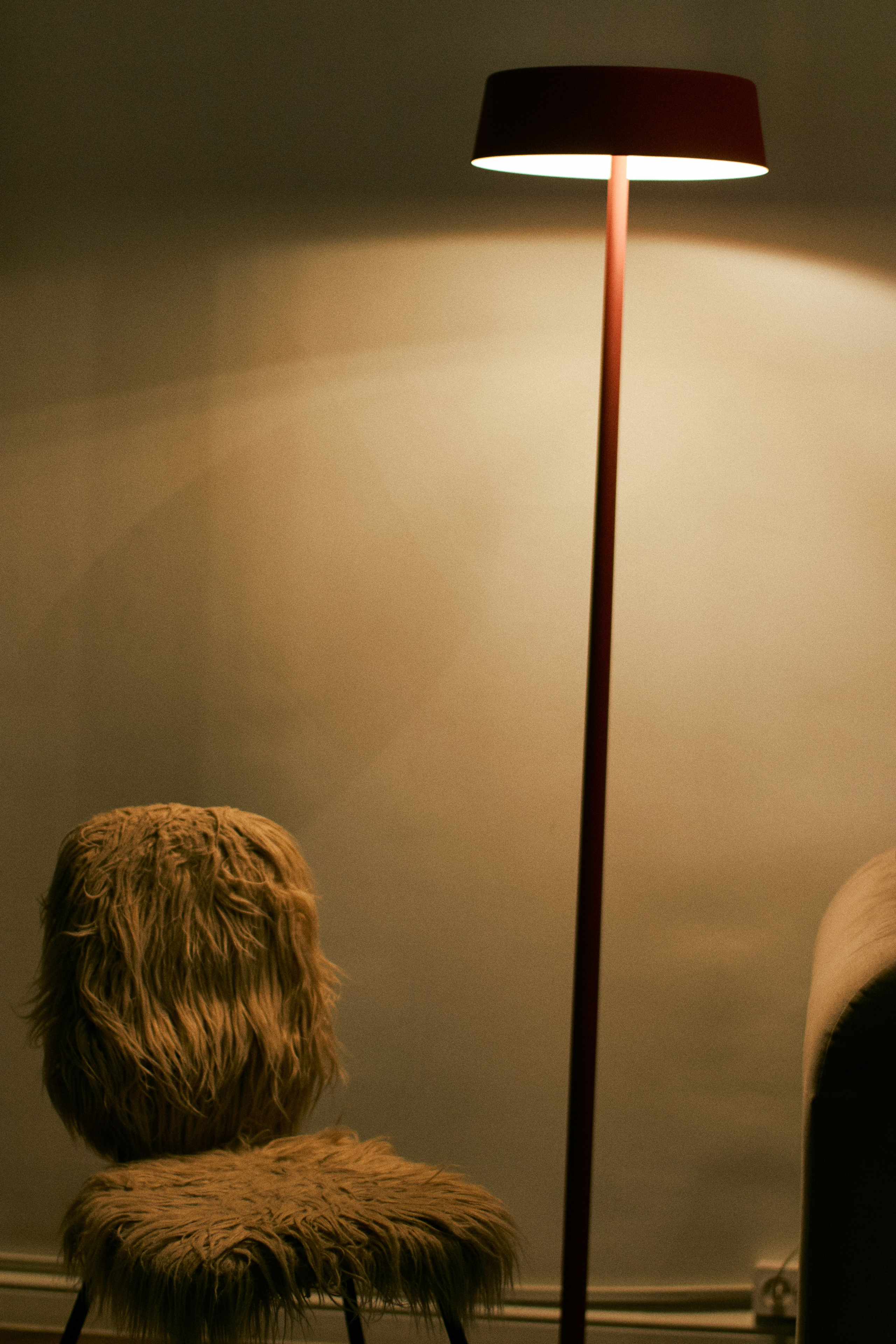 Новогоднее опоздание. Свадебный фотограф Анастасия Лахтионова