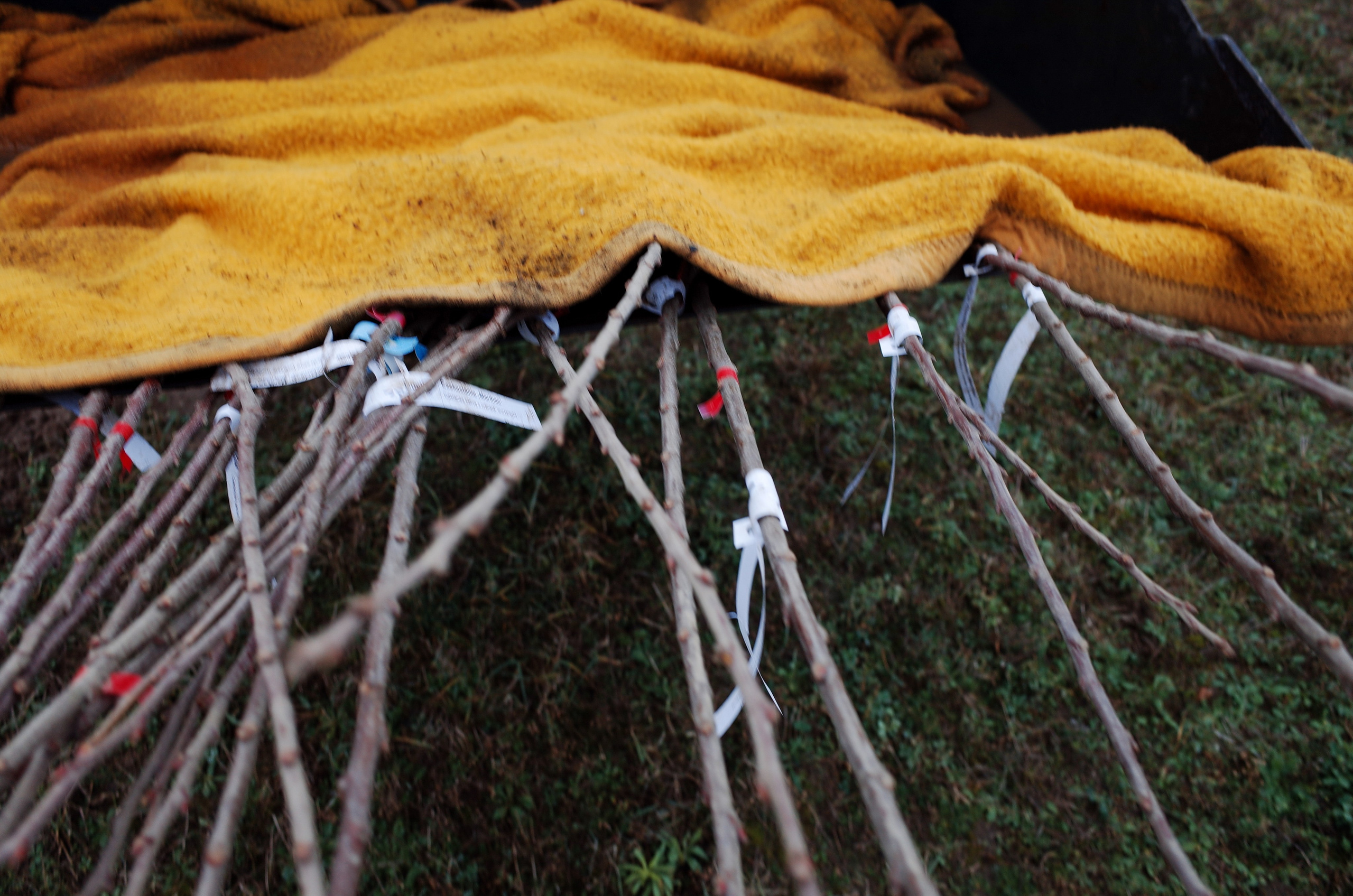 Farmers. Aleksander Chernov — Documentary filmmaker and photographer