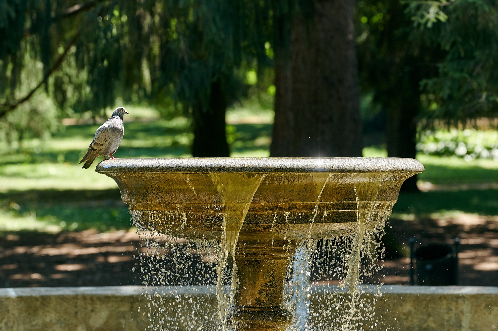 Кисловодск, Россия. Август 2024. Фотографии отовсюду и обо всем