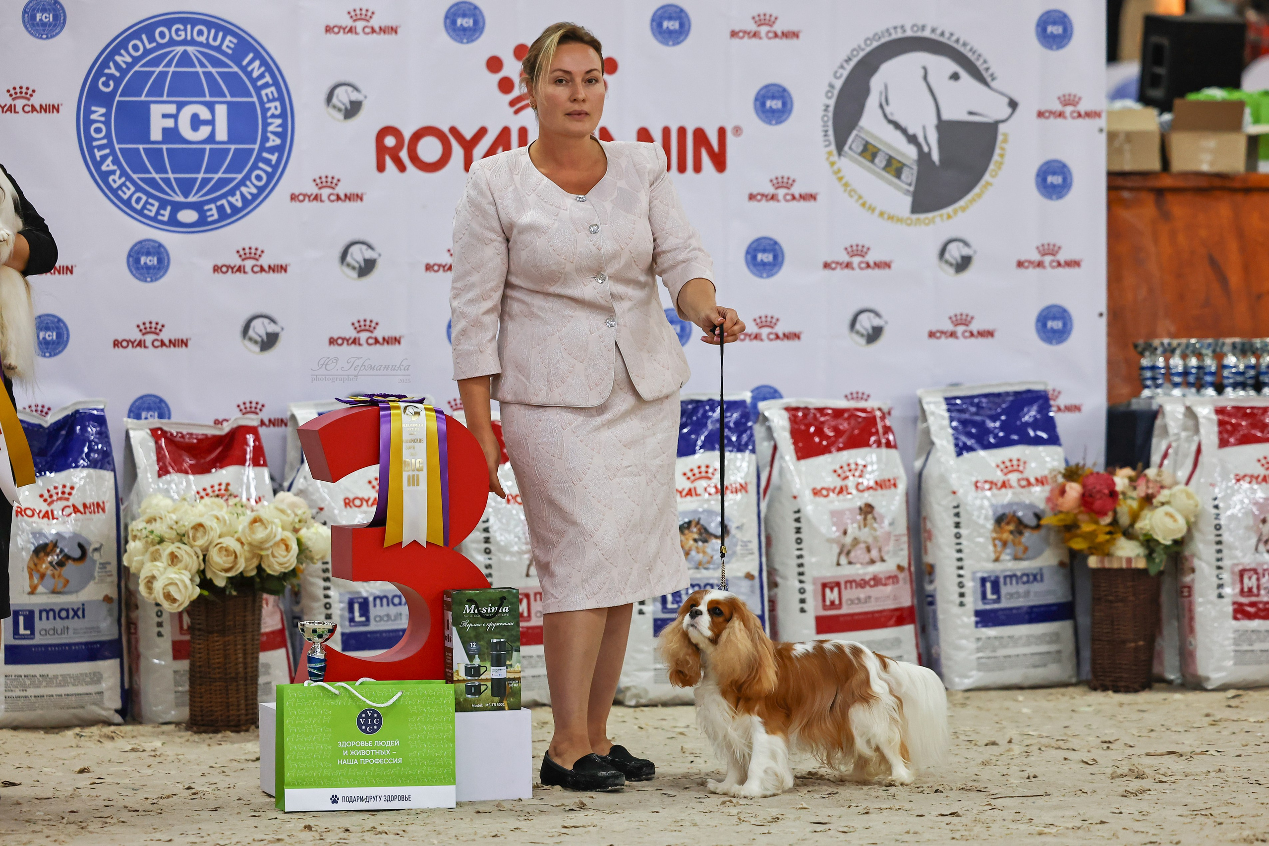 Астана 2хCACIB 26-28.09.2025. Фотограф-анималист Юлия Германика