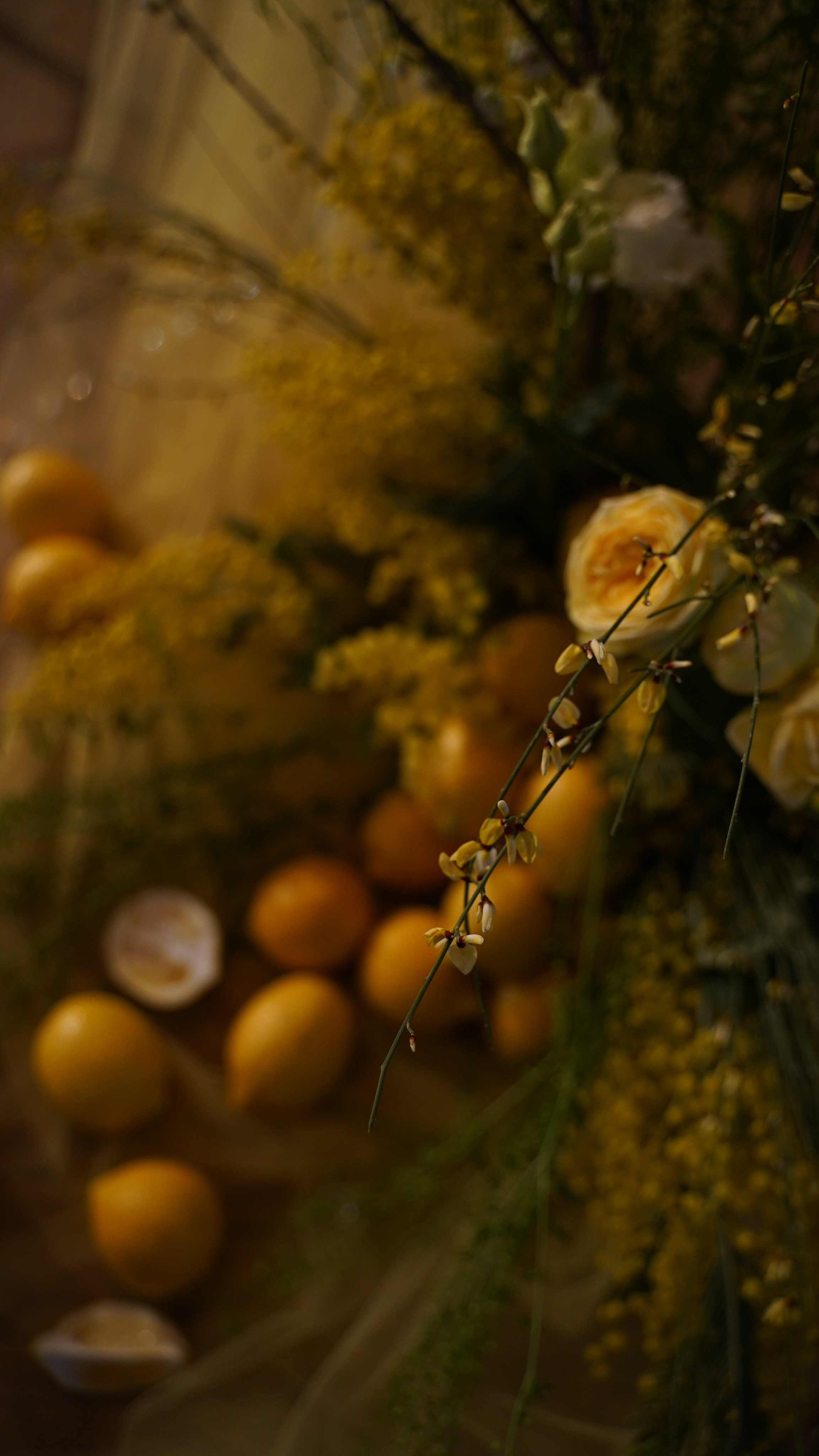 Дарья. Добро пожаловать в мир самого прекрасного — в мир фотографии!