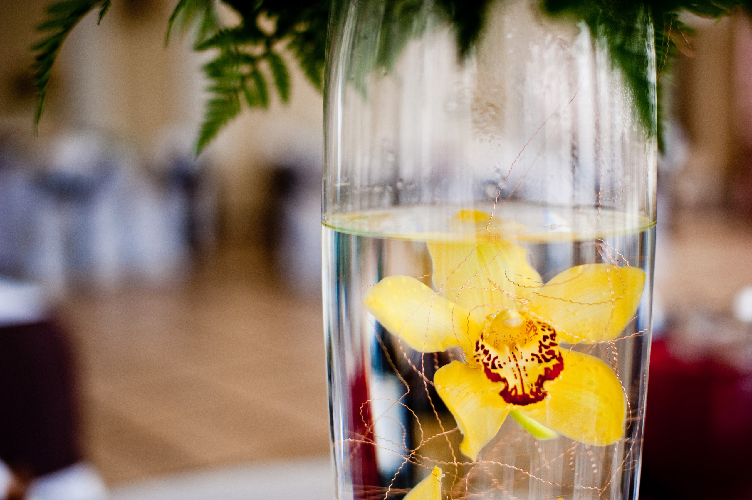 Анна и Максим. Свадьба, Королев. Семейный фотограф Анна Дубовская