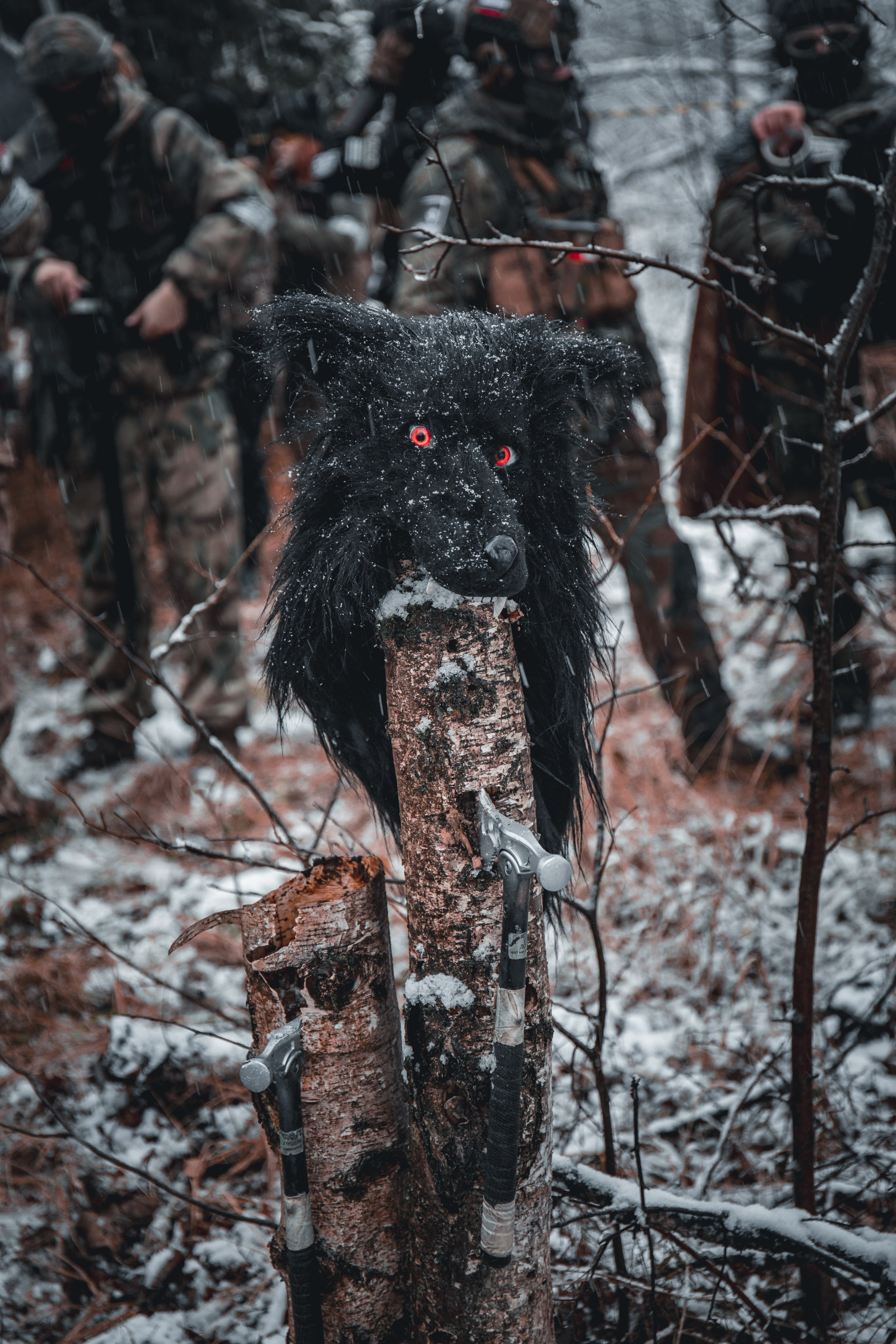 •Моими Глазами• Катарина