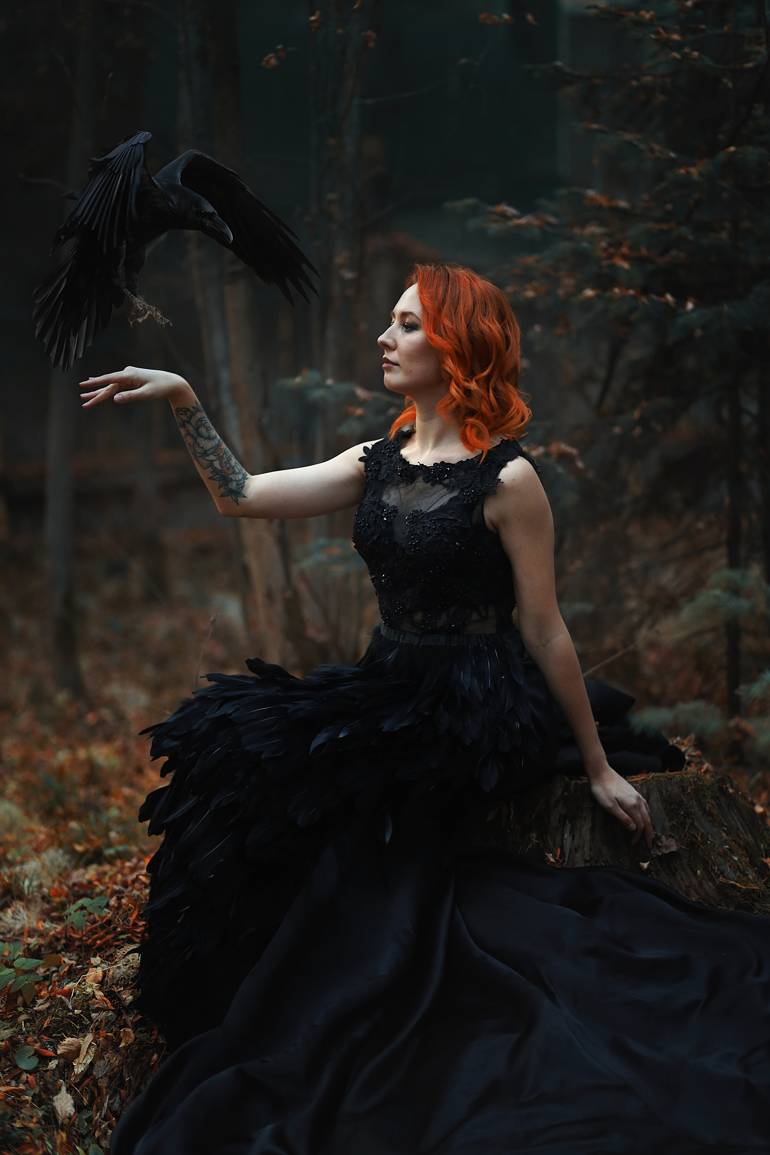 Фотоколлаж. Сказочный фотограф — Юлия Уфимцева