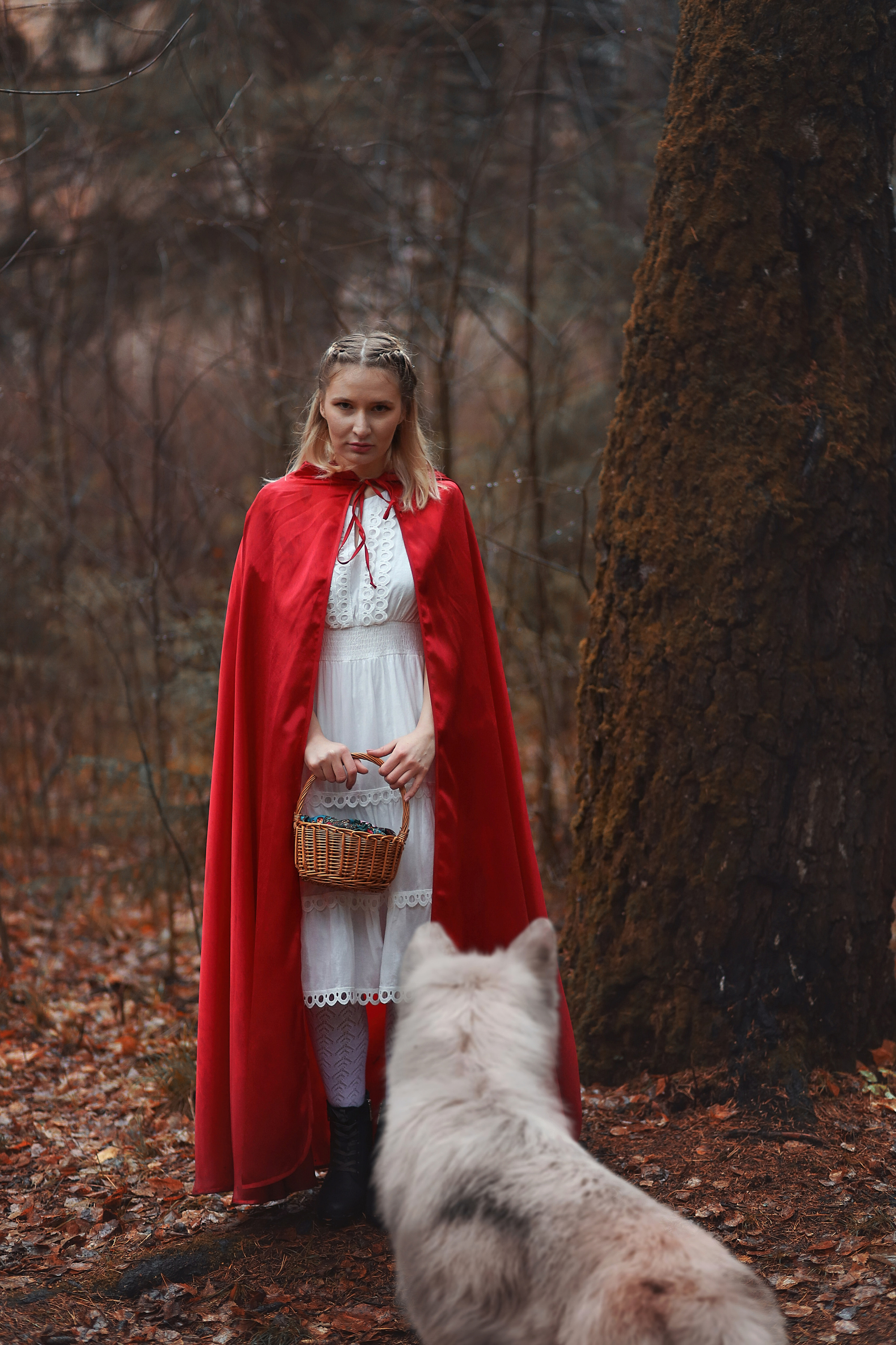 Фотоколлаж. Сказочный фотограф — Юлия Уфимцева