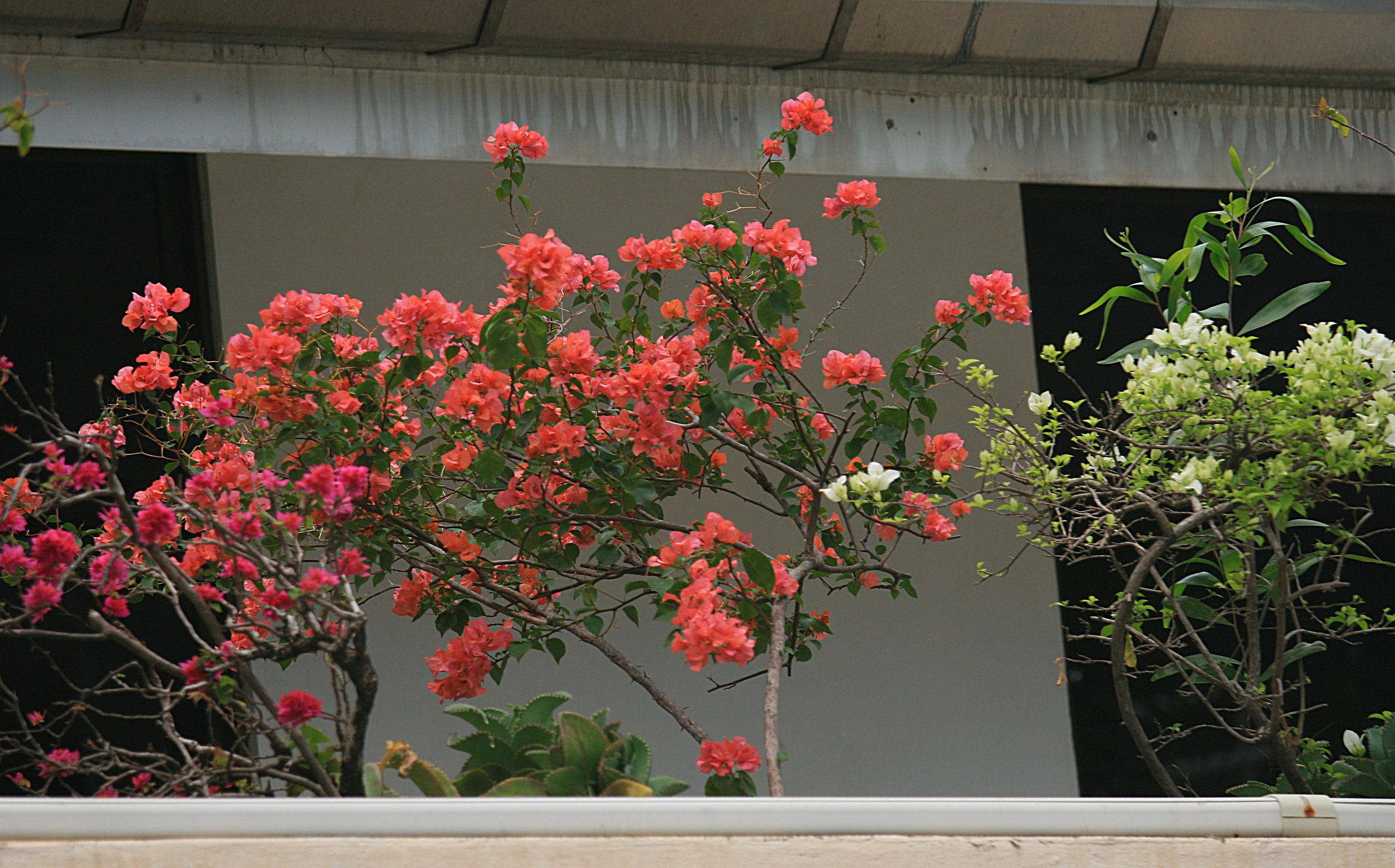 Тайланд 2012 г. Улица, люди, жизнь…