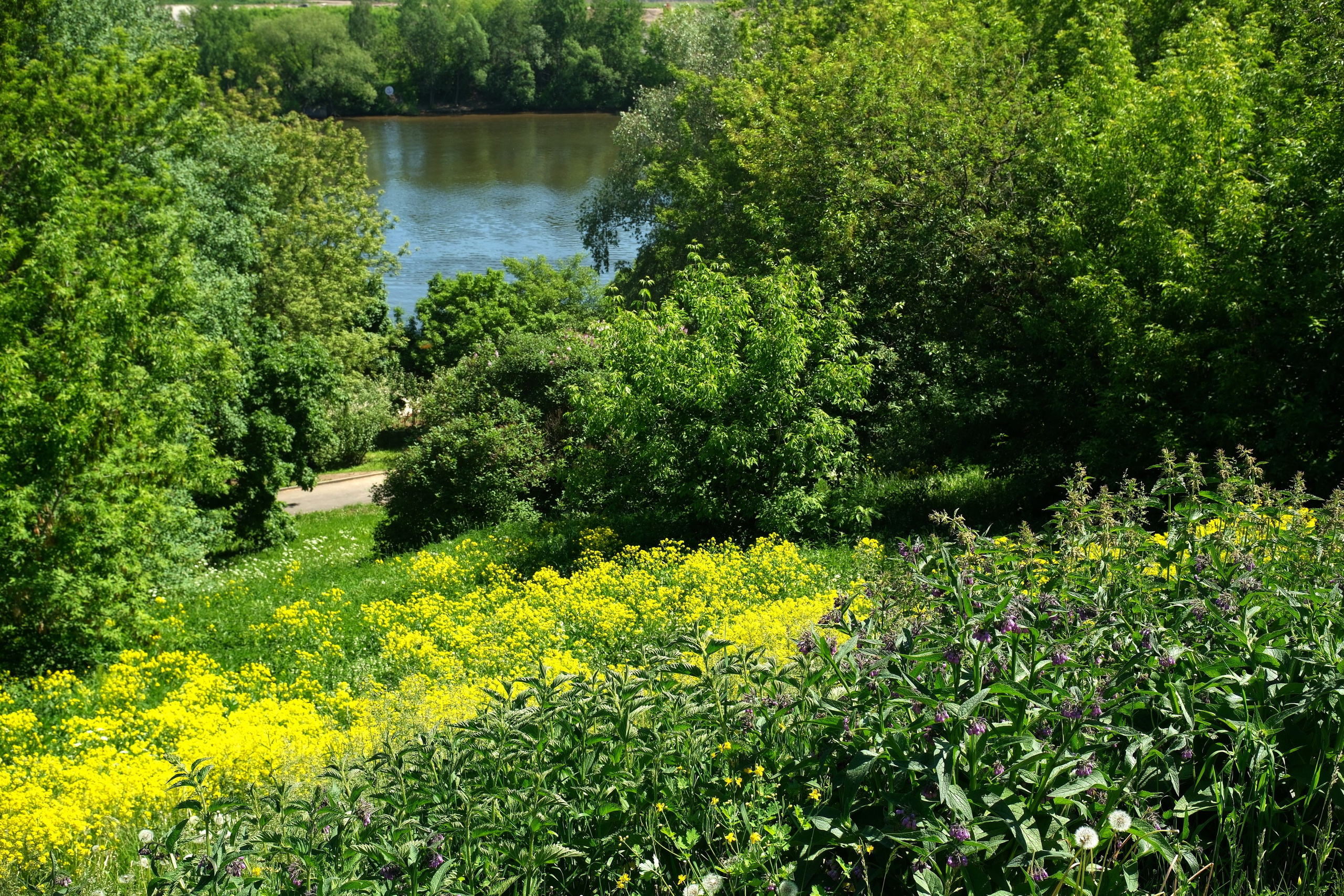 Коломенское 2024. Улица, люди, жизнь…