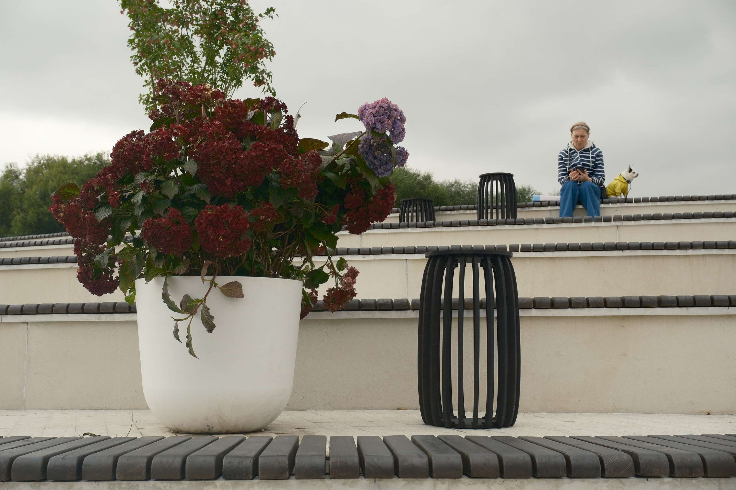 Август 2025. Улица, люди, жизнь…