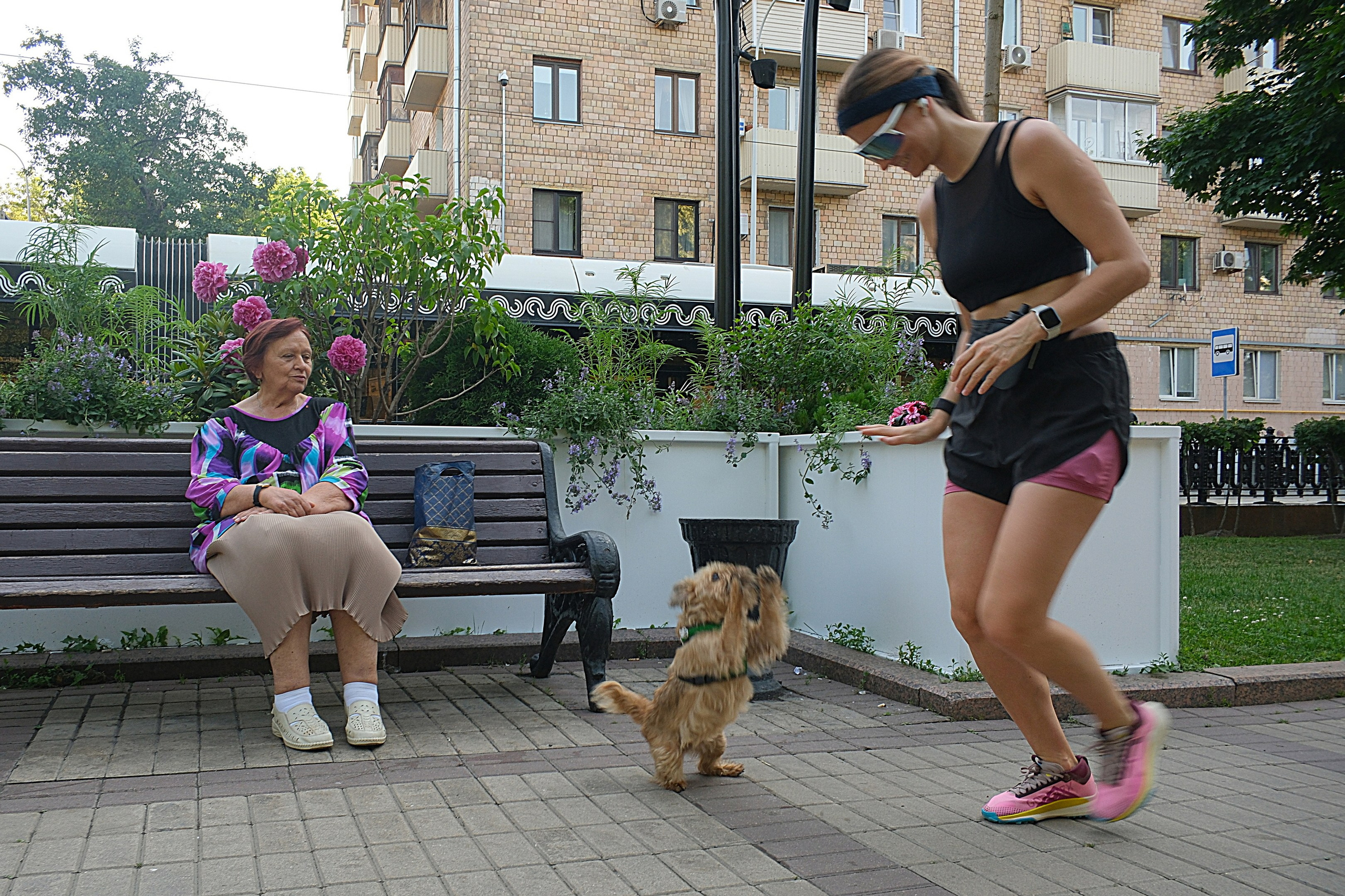 Улица, люди, жизнь…