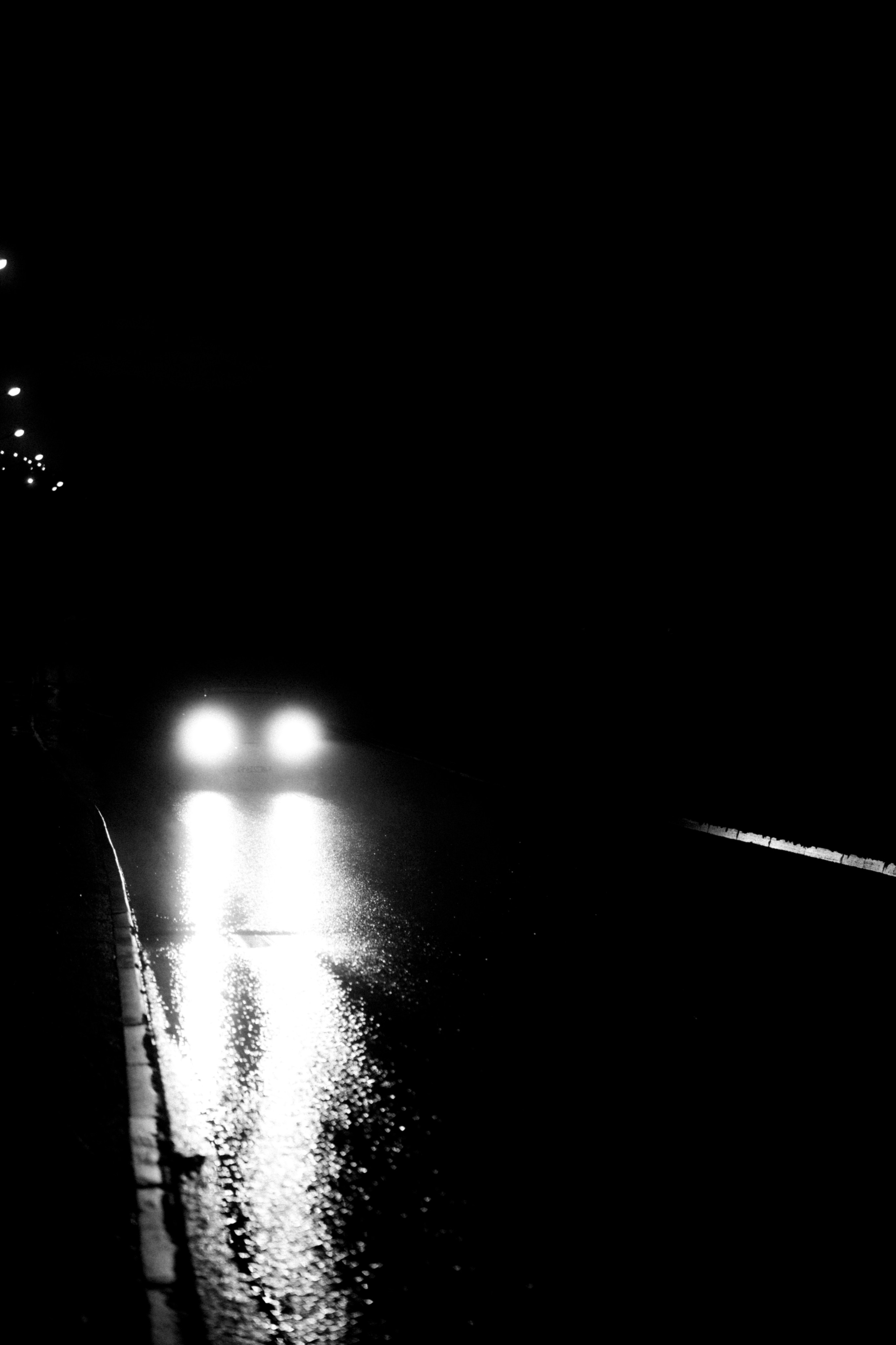 Прогулка после дождя. Veronika Popadeikina Photographer