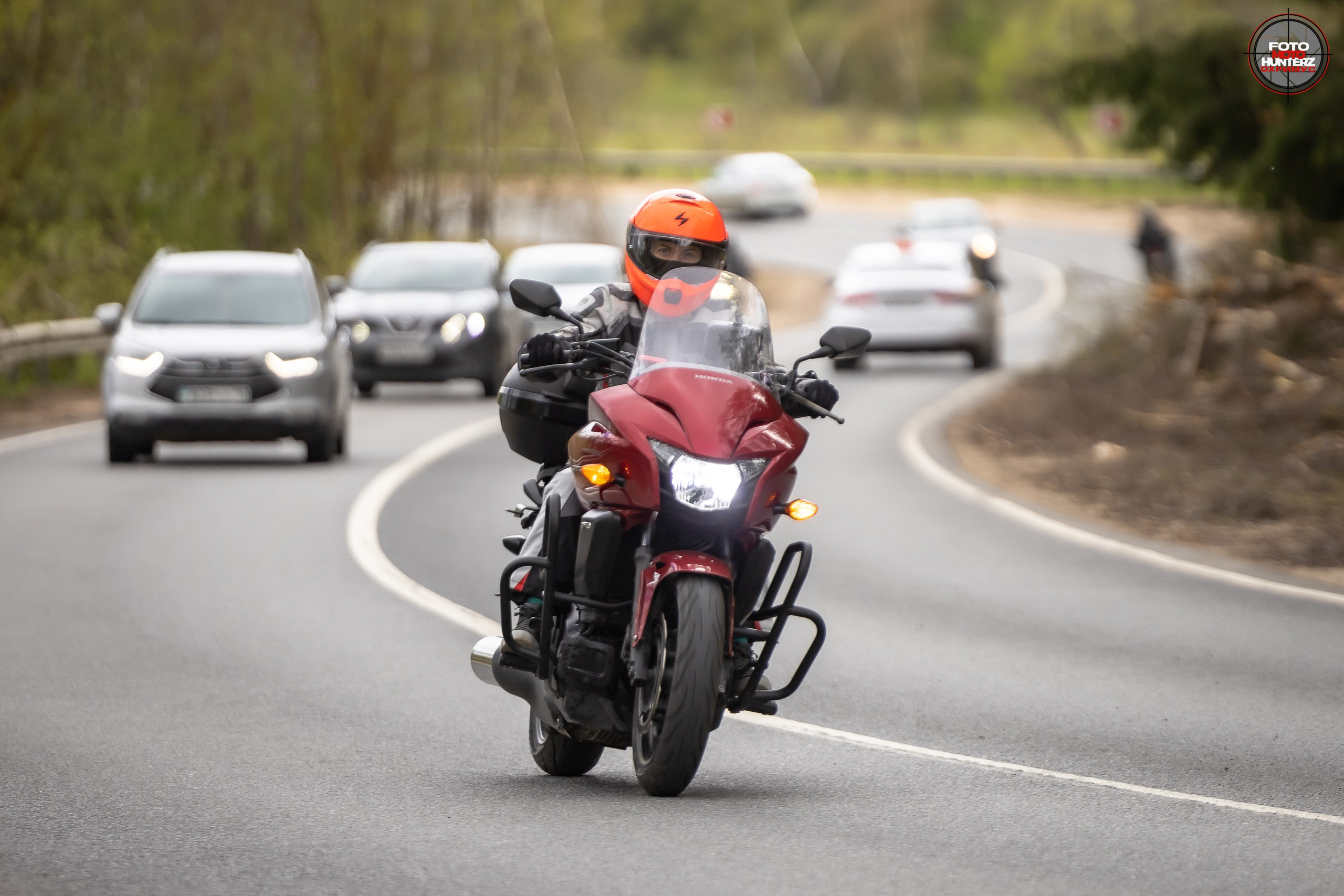 Первое Сафари в 2025 г. на Рогачевском ш. Фотограф Владимир Охрименко