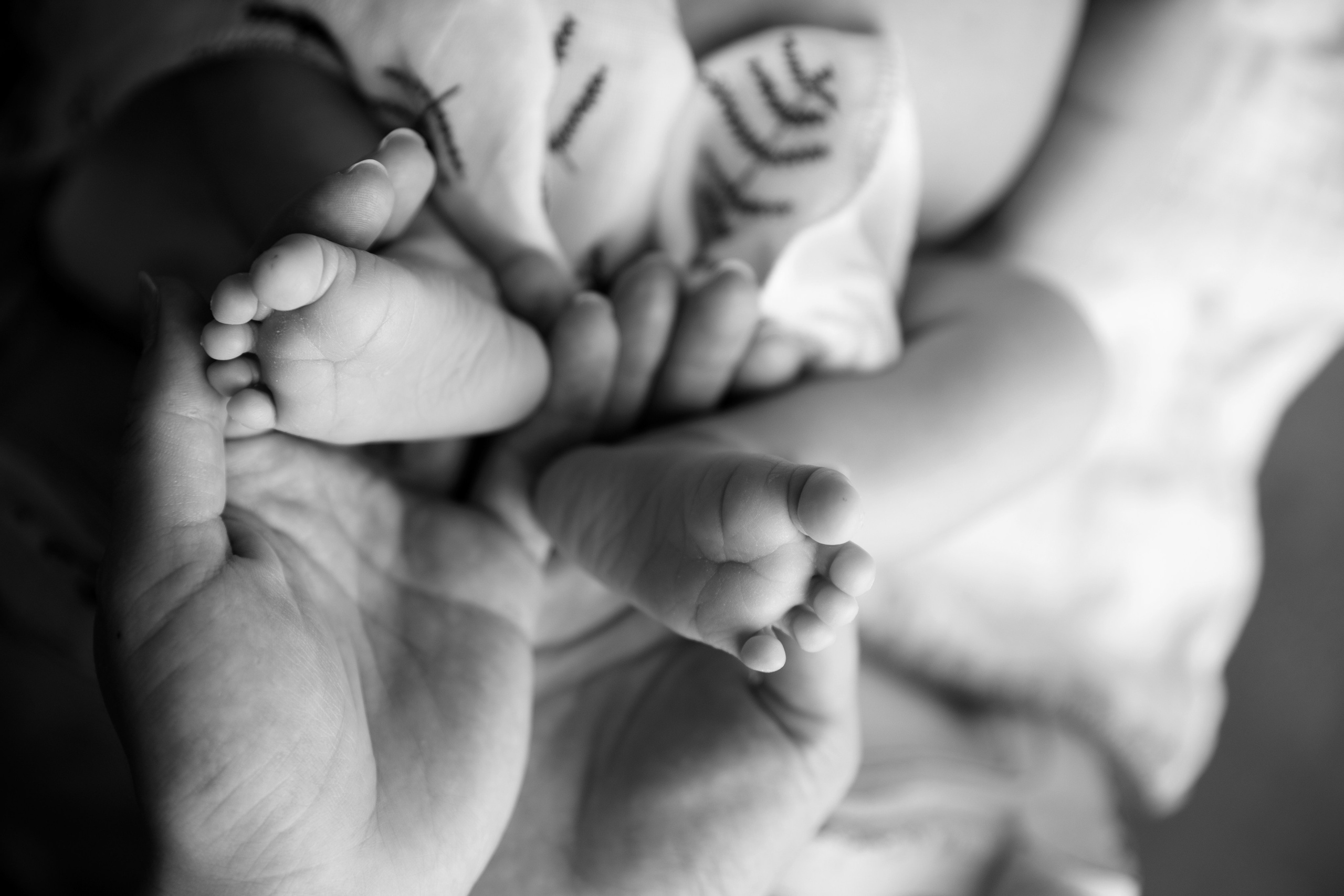 Фотограф новорожденных, детский фотограф  Москва.Семейная съемка Москва. Семенова Анна