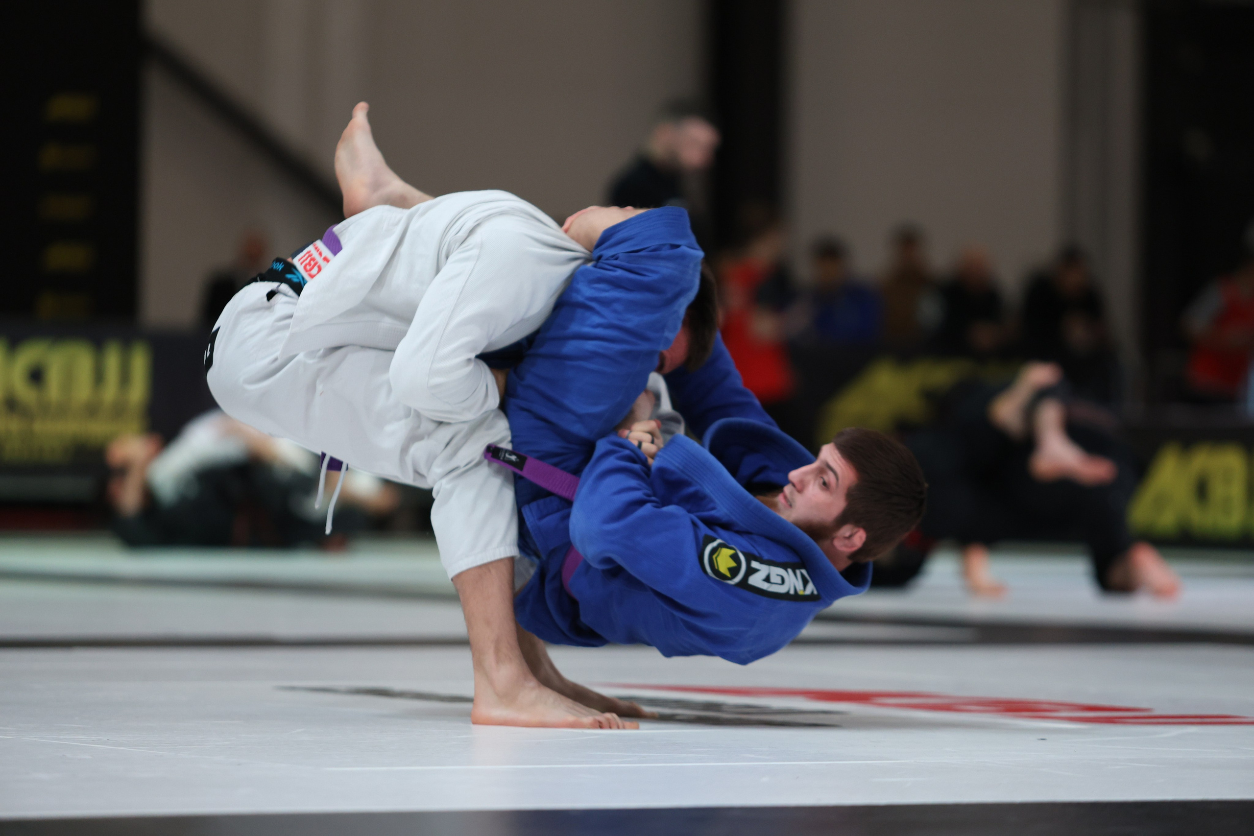 ACBJJ WORLD CHAMPIONSHIP 2023. Репортажный, Event фотограф в Санкт-Петербурге и ЛО Морозов Дмитрий