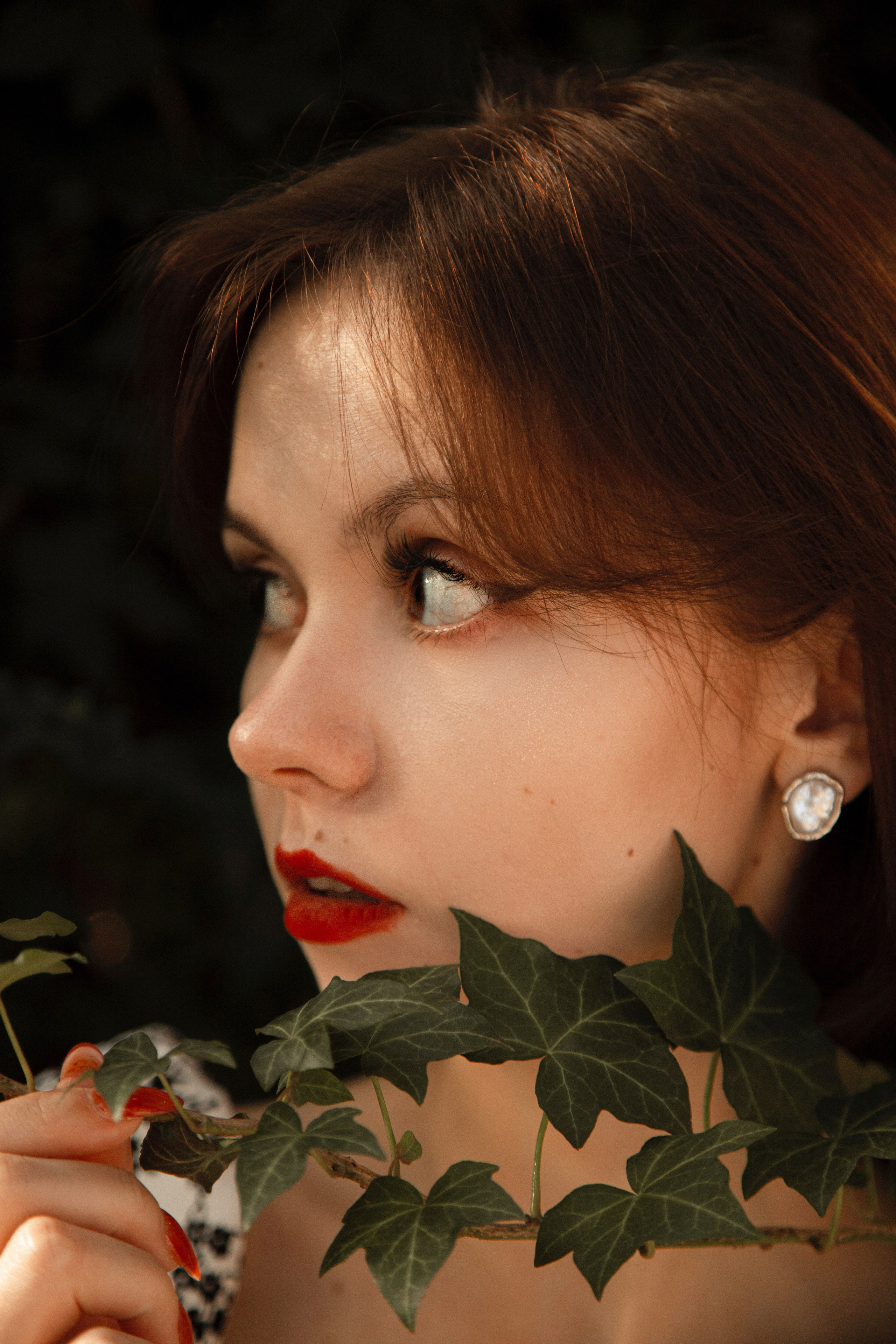 Оранжерея Таврического сада