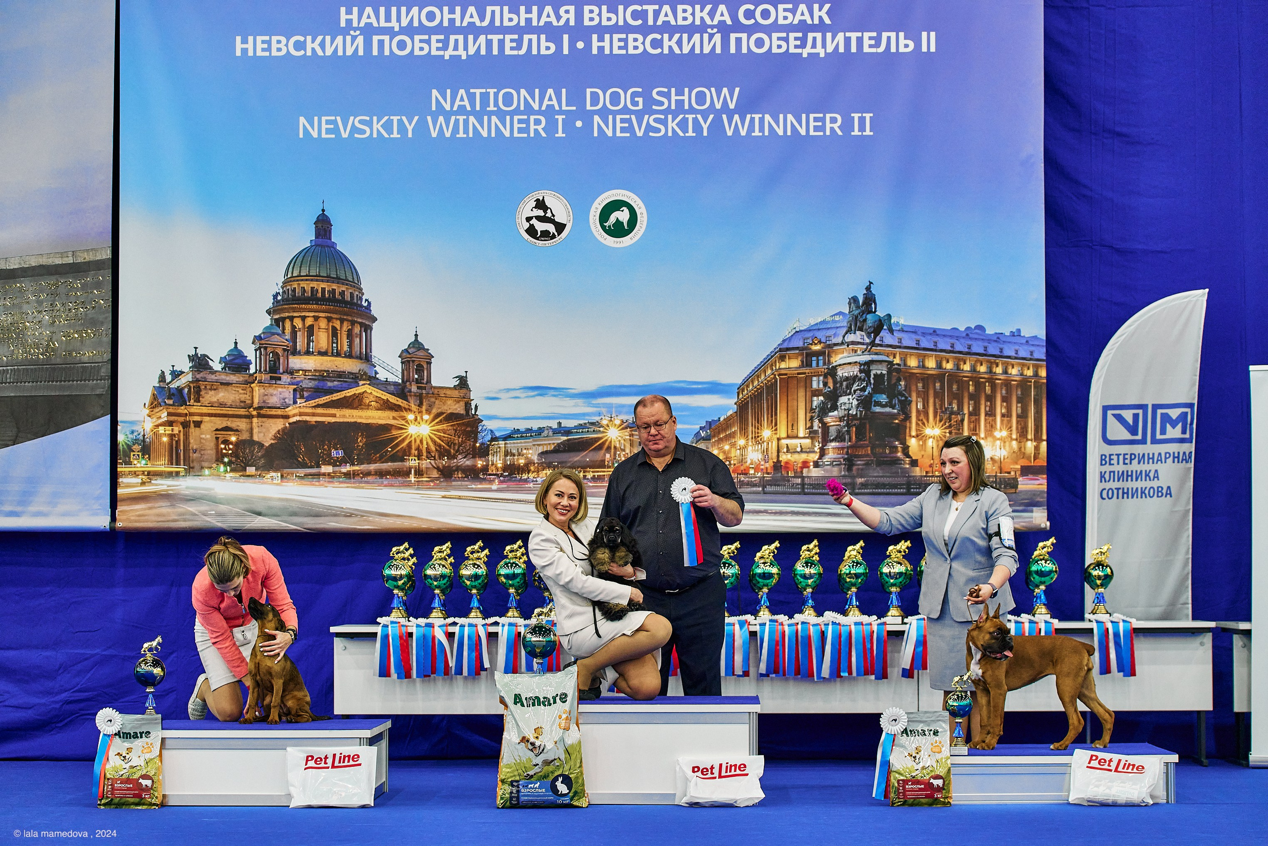 РЕЙТИНГОВАЯ ВЫСТАВКА СОБАК ВСЕХ ПОРОД С ОСОБЫМ СТАТУСОМ"НЕВСКИЙ ПОБЕДИТЕЛЬ-2024-2"