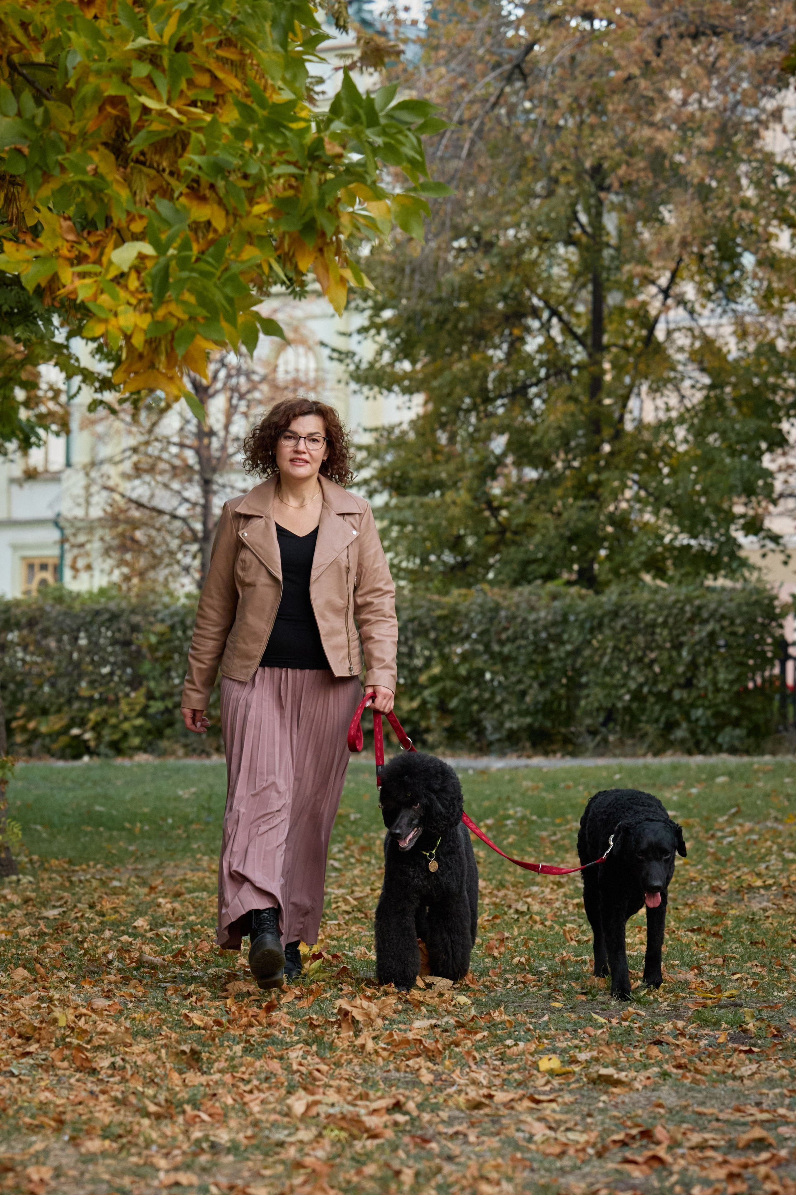 Альбина. Марфа и Мистик. Прогулка в парке. Фотограф анималист в Казани Алина Сулейманова. Фотограф животных