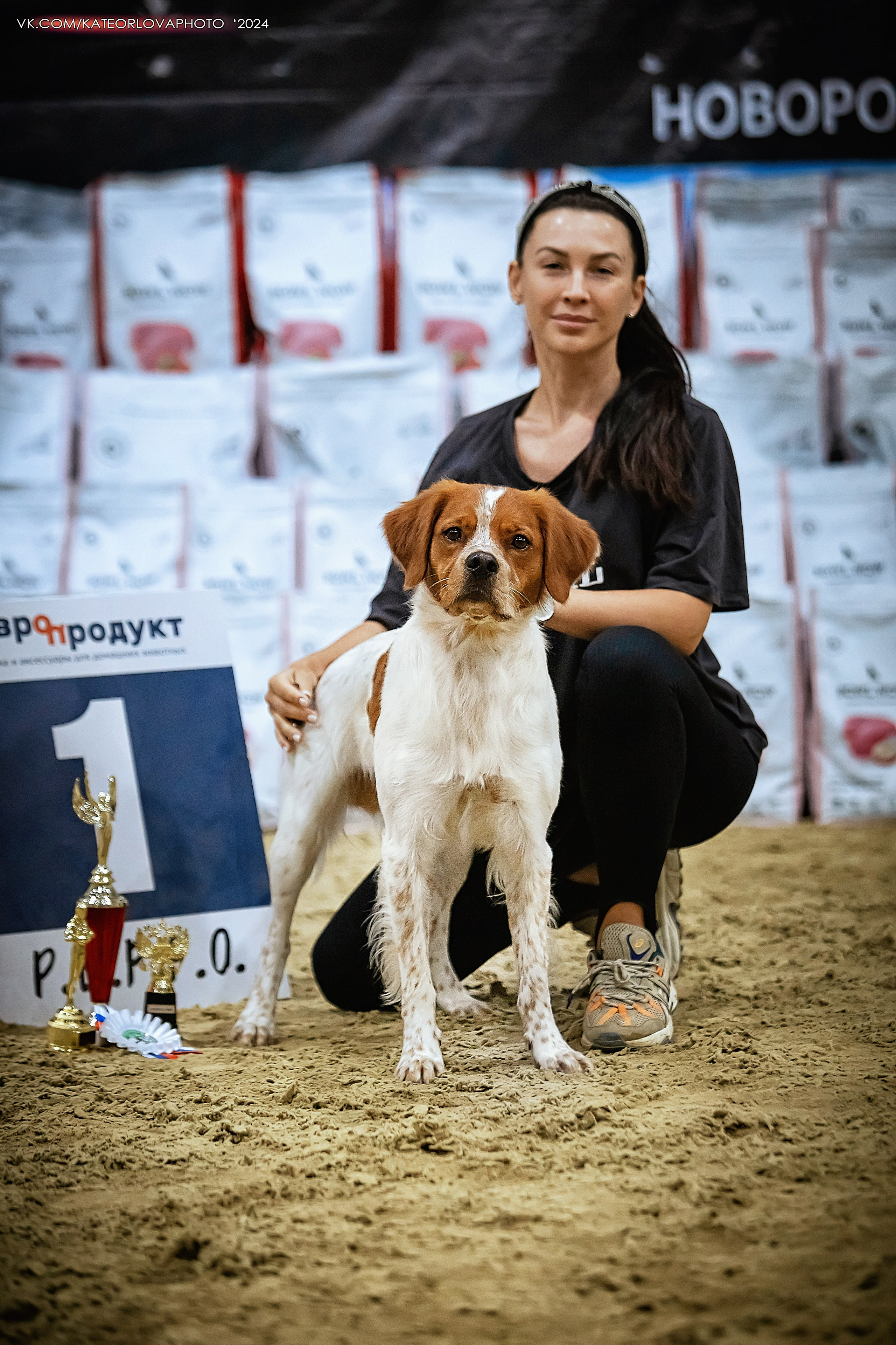 Фотосъемка собак, щенков, на выставках, фотограф анималист Россия воронеж. Питомник собак Акита, Хаски, Корги