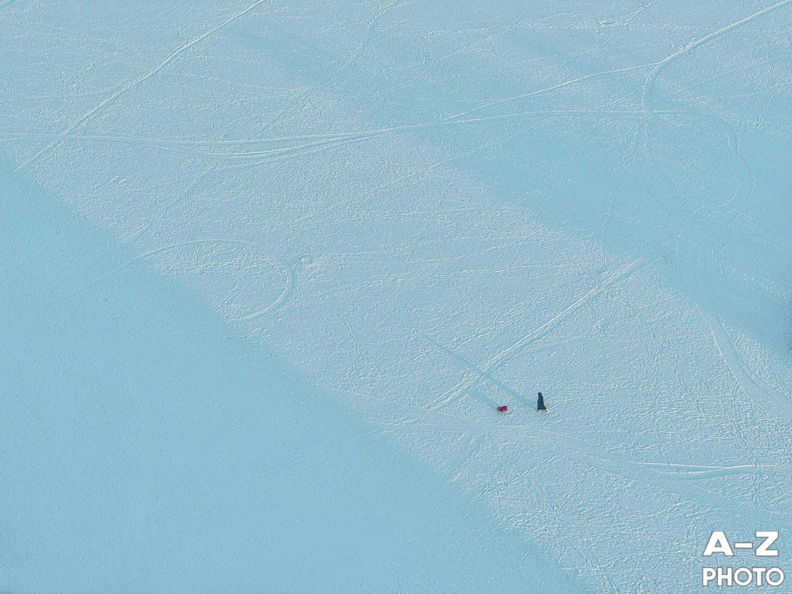 #ФОТОНЕДЕЛИ 15.02.2026. Женский семейный фотограф Тула Москва Захарова Анна