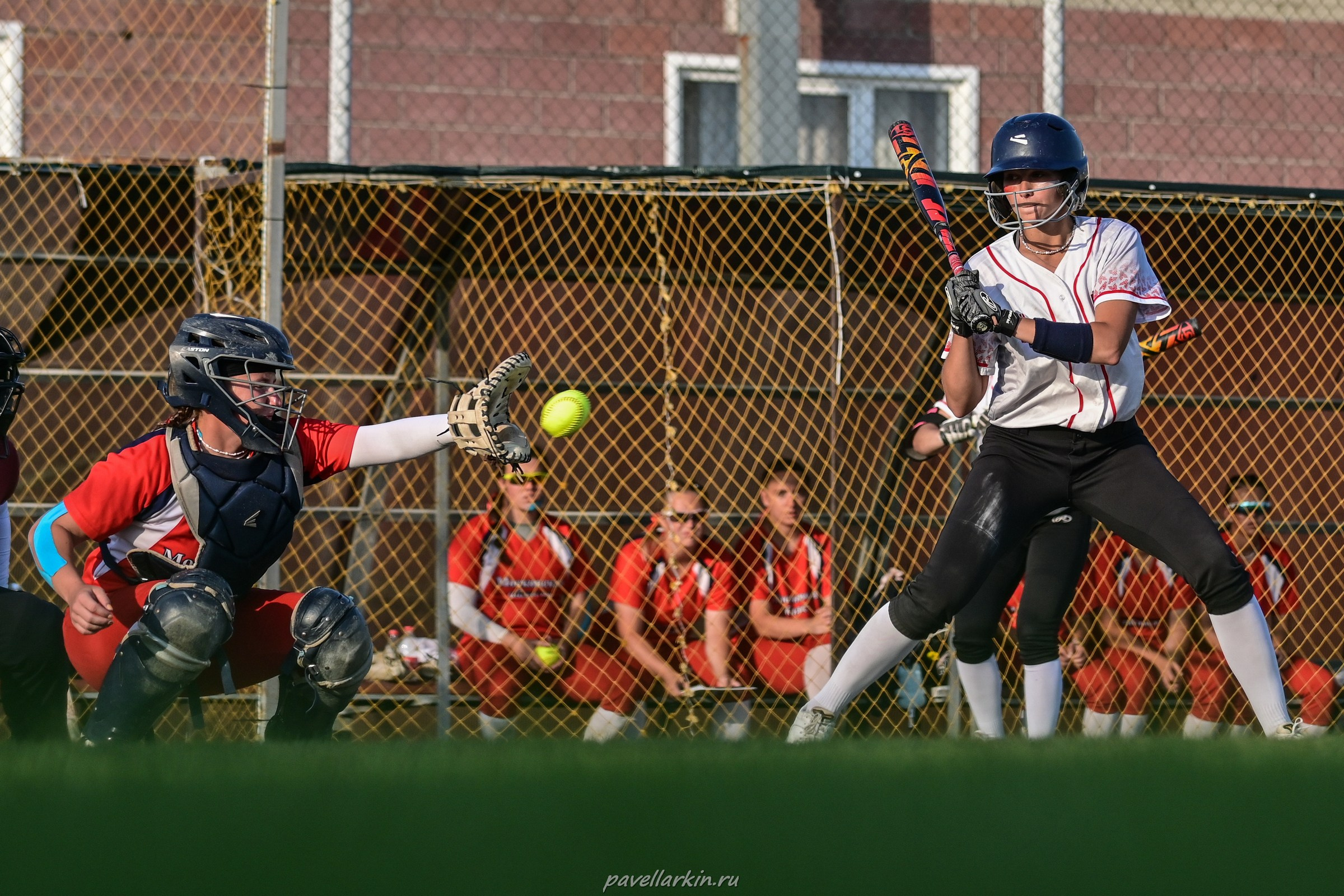 Софтбол: Финал юношеской спартакиады 2025 года. Спортивный фотограф, фотожурналист Павел Ларькин