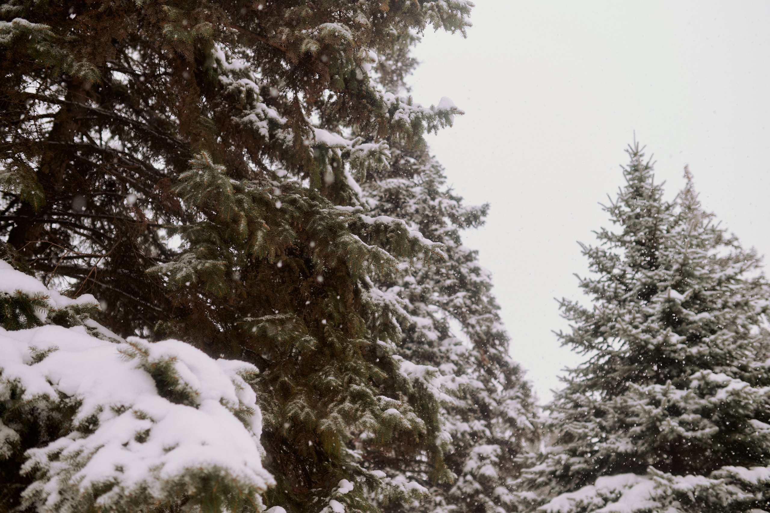 Андрей, Леся и Василиса в снежном парке. Семейный и свадебный lifestyle-фотограф в Москве Мария Петрова