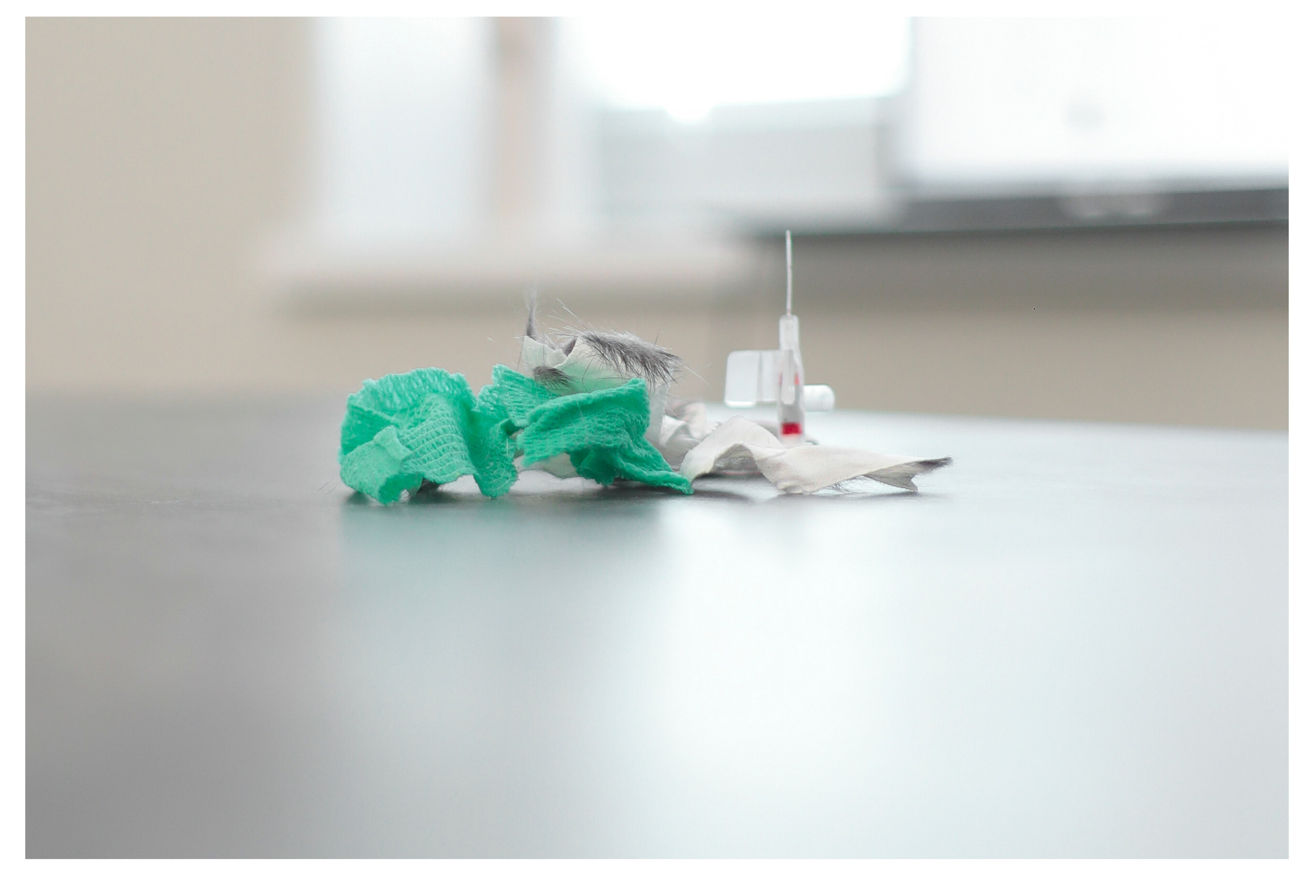 FEAR. Photographer Manakova Olga