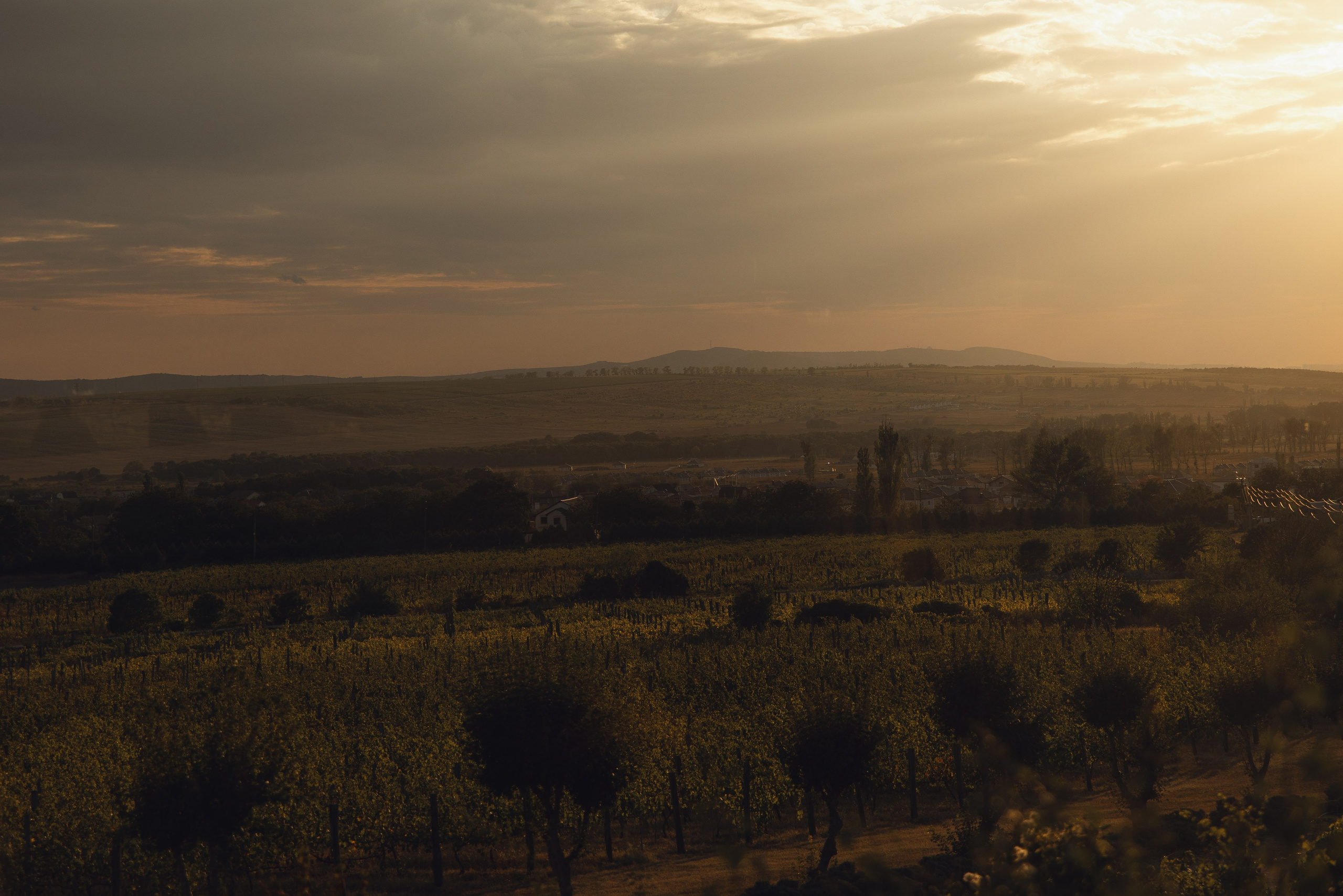 Дмитрий и Алиса. Свадебный и портретный фотограф в Ростове на Дону Андо Саргсян