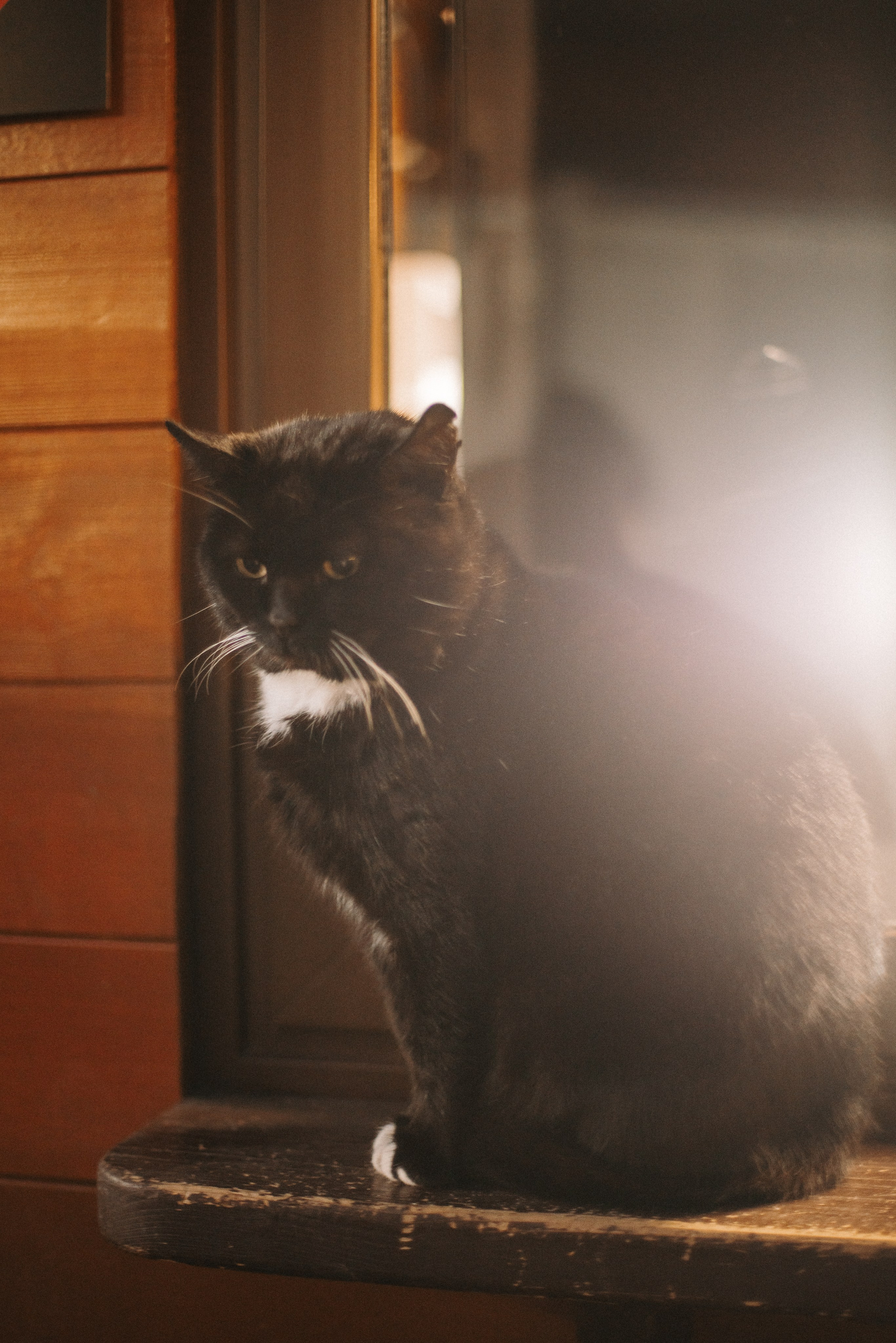 Helen. Фотограф на Юге России