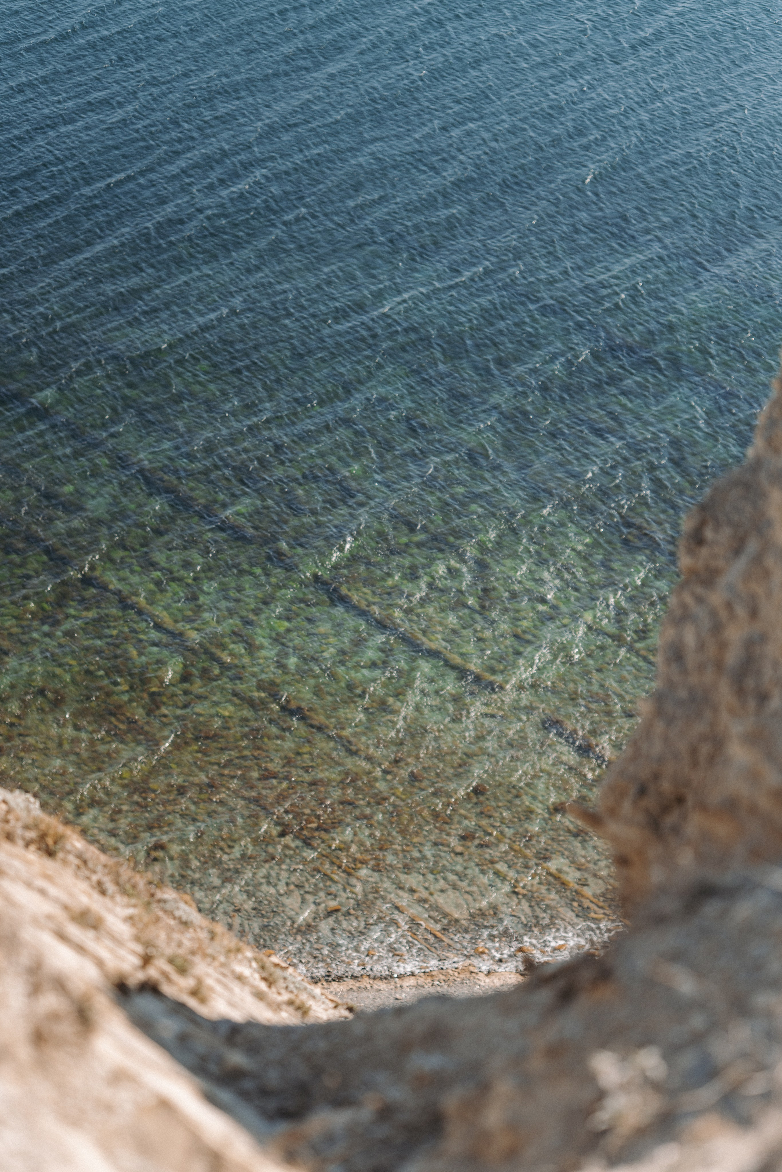 Macro. Фотограф на Юге России