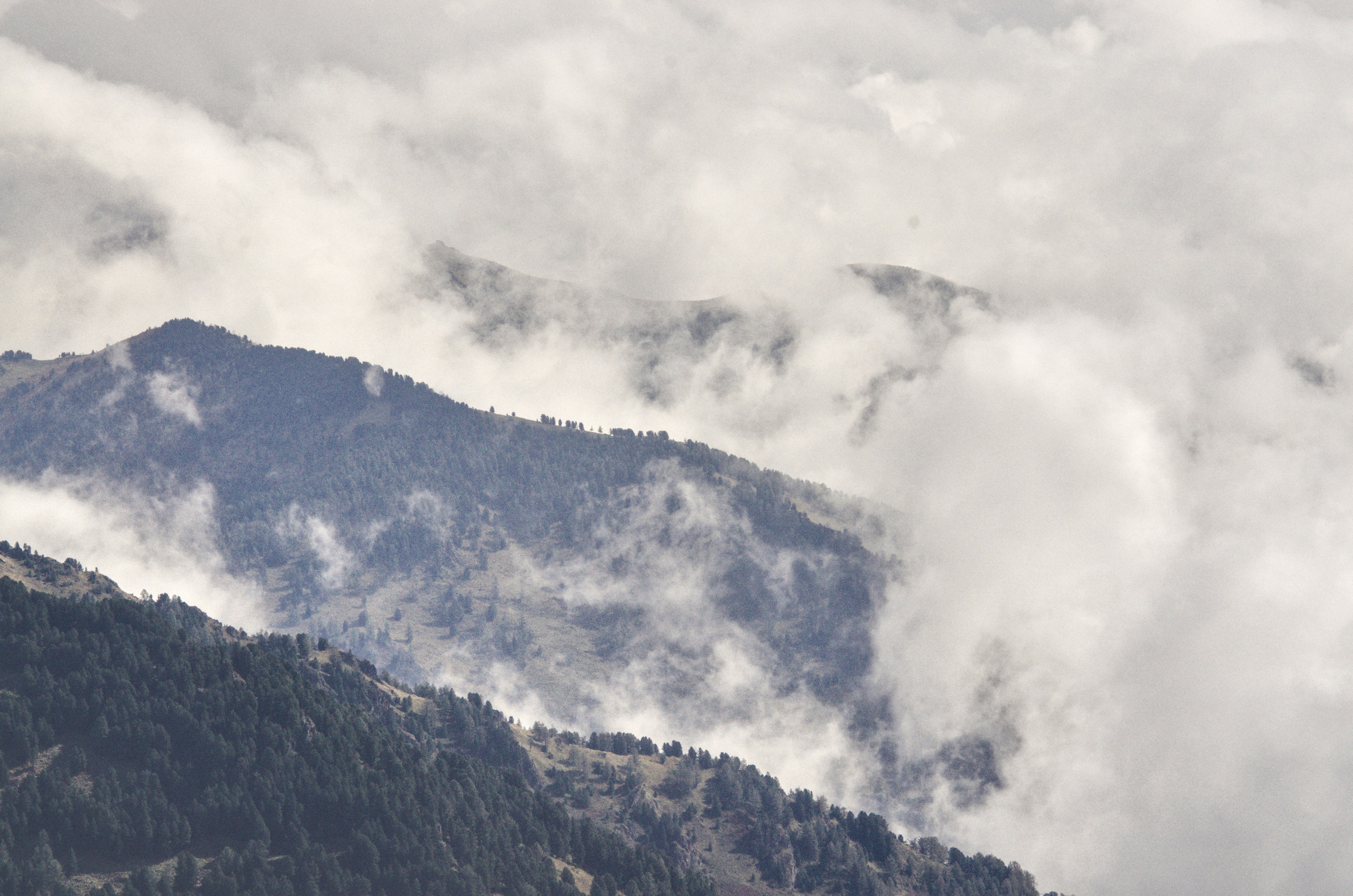 Горы в тумане Алтай