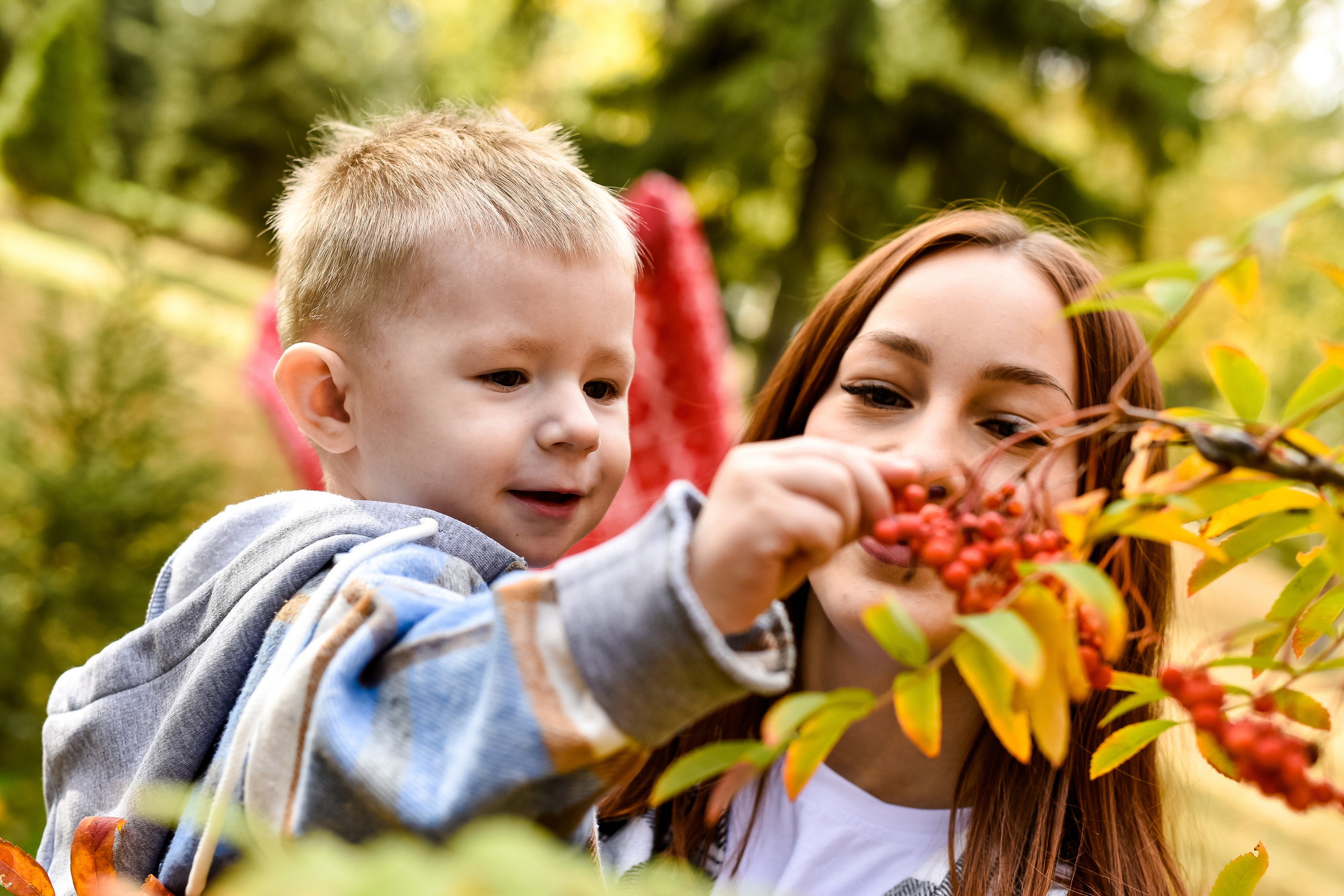 Семья Елены