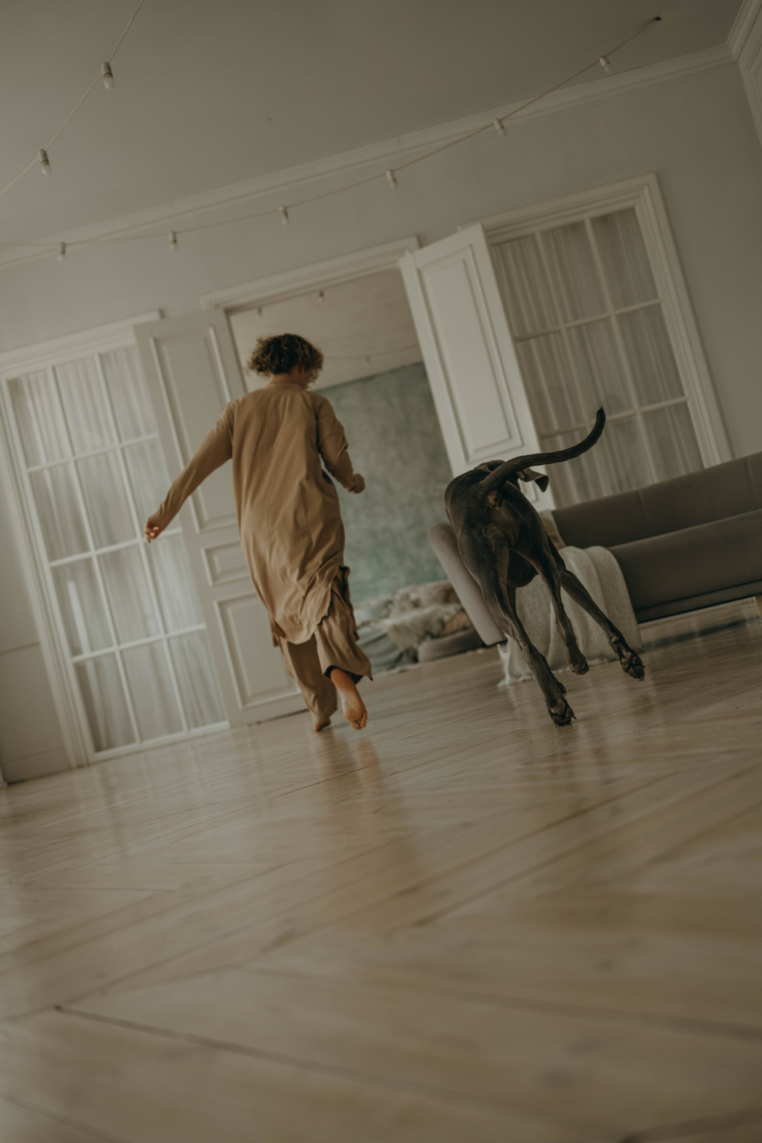 Фотосессия в студии с собакой. Фотограф-анималист в Екатеринбурге | Кристина