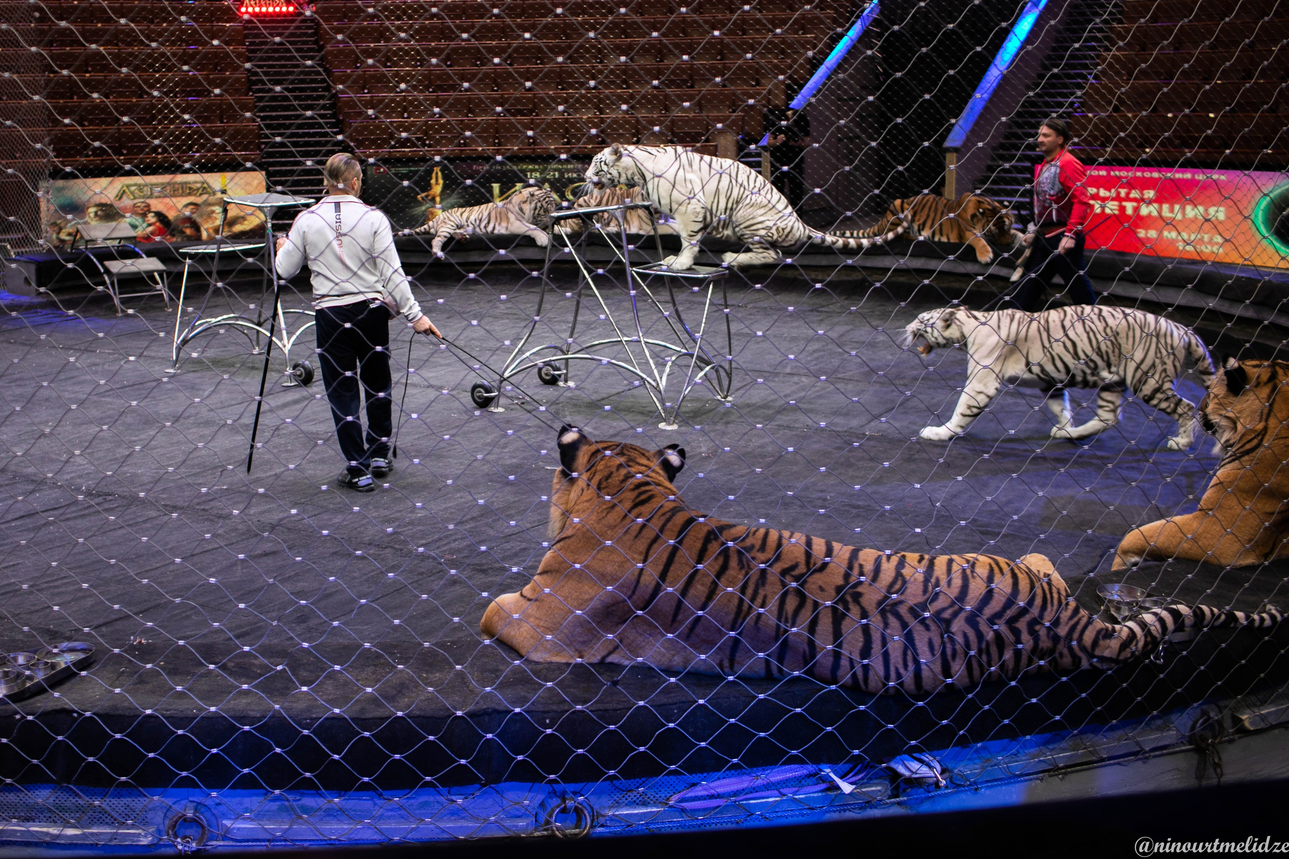 В закулисье у братьев Запашных. Art photographer Nino