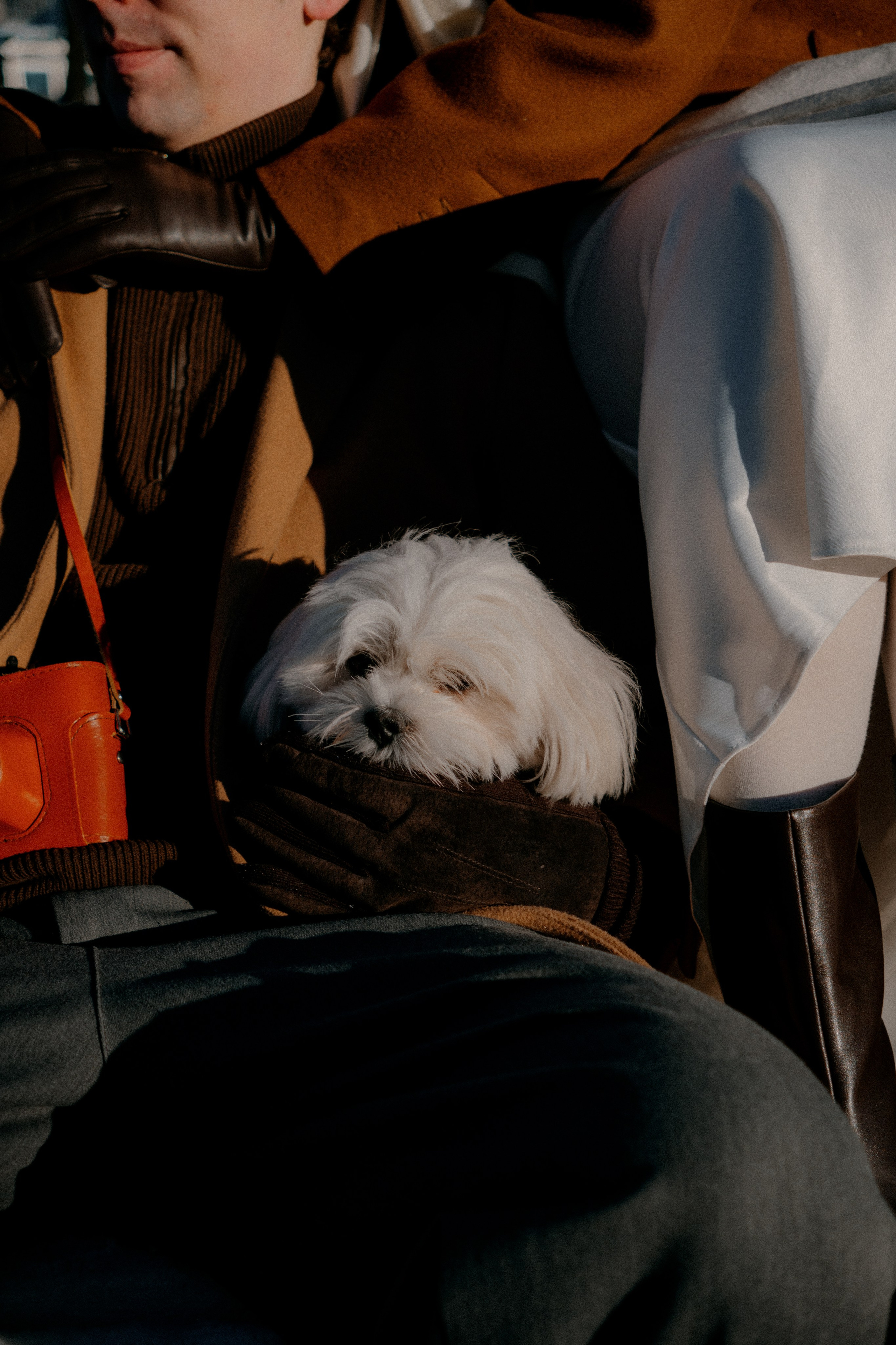 Julia and Roma. Фотограф в Санкт-Петербурге Бирюлев Илья