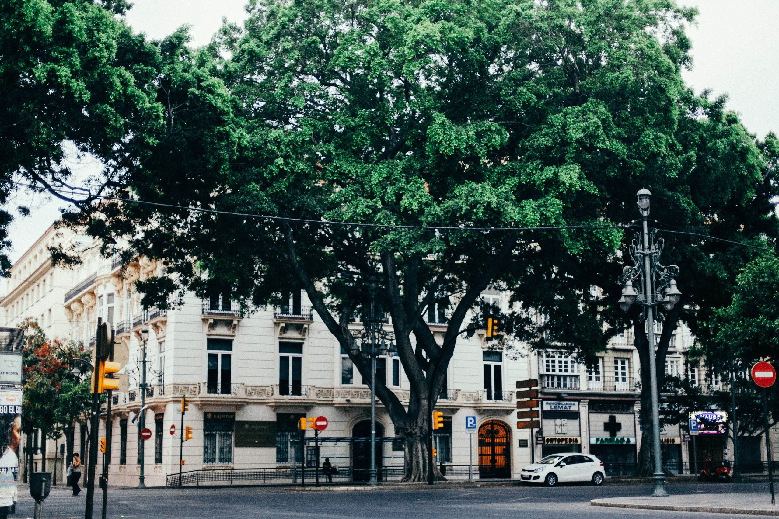 Малага. Аня Степанова