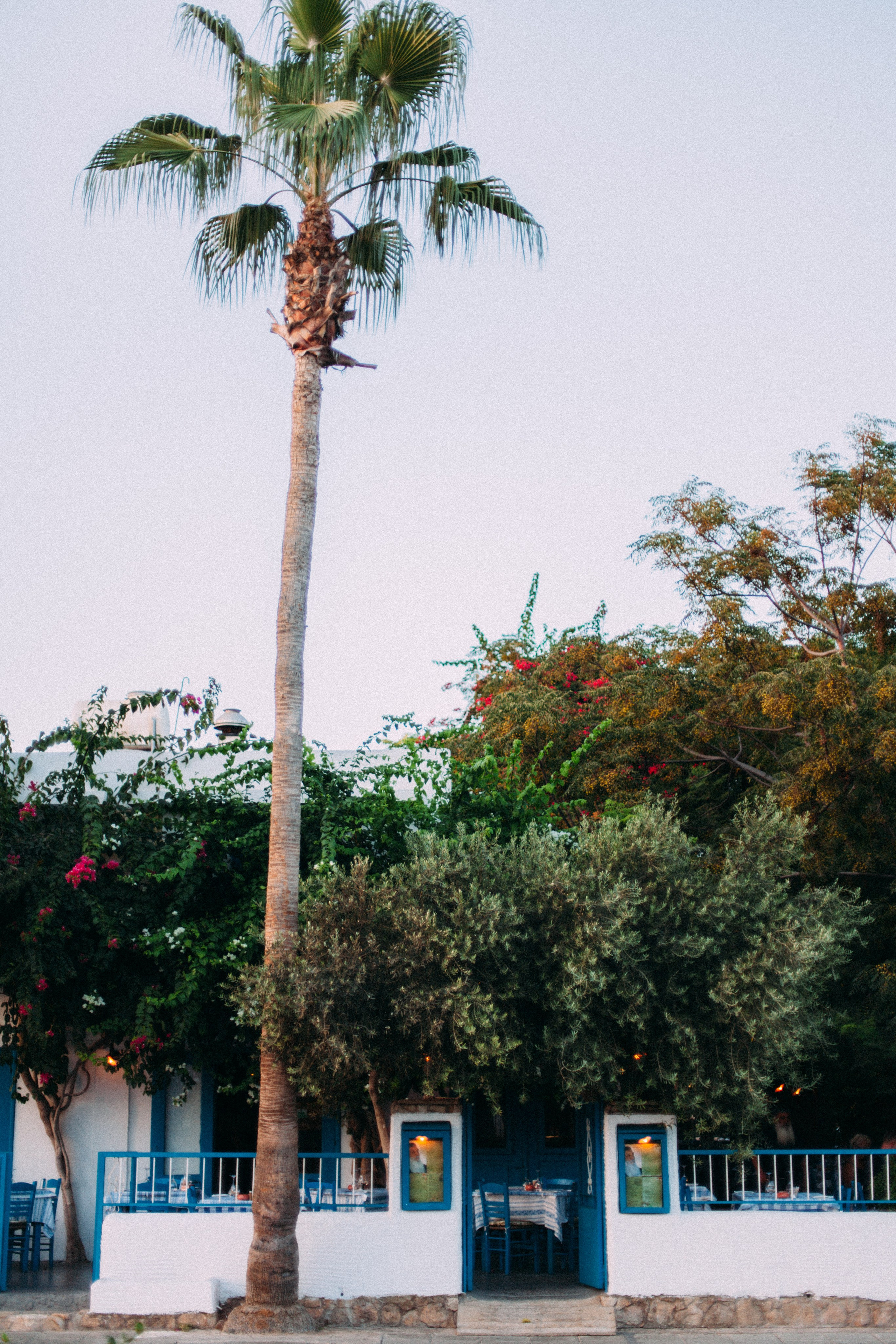 Кипр. Аня Степанова