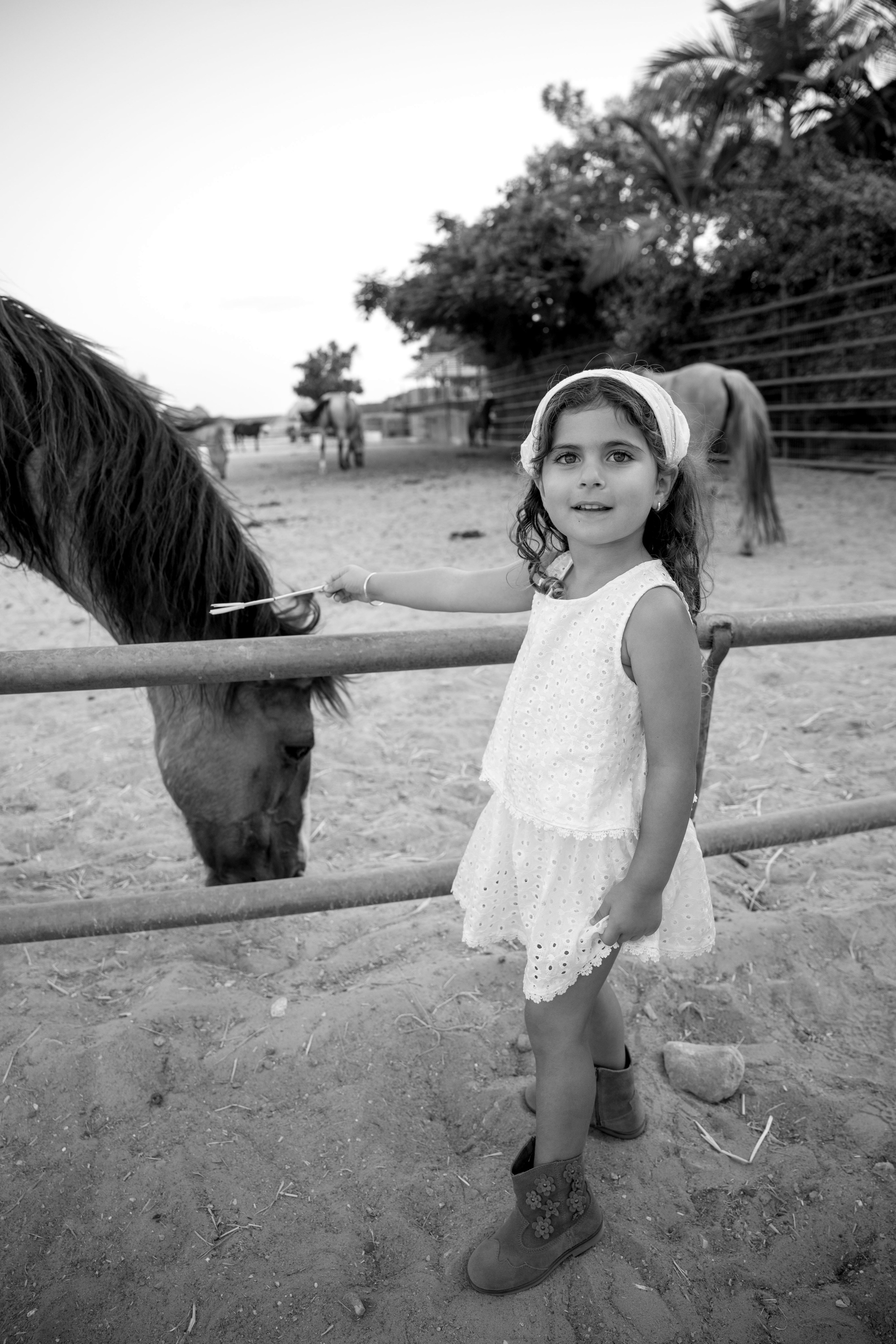 Pregnancy photoshoot at the horse farm. Главная