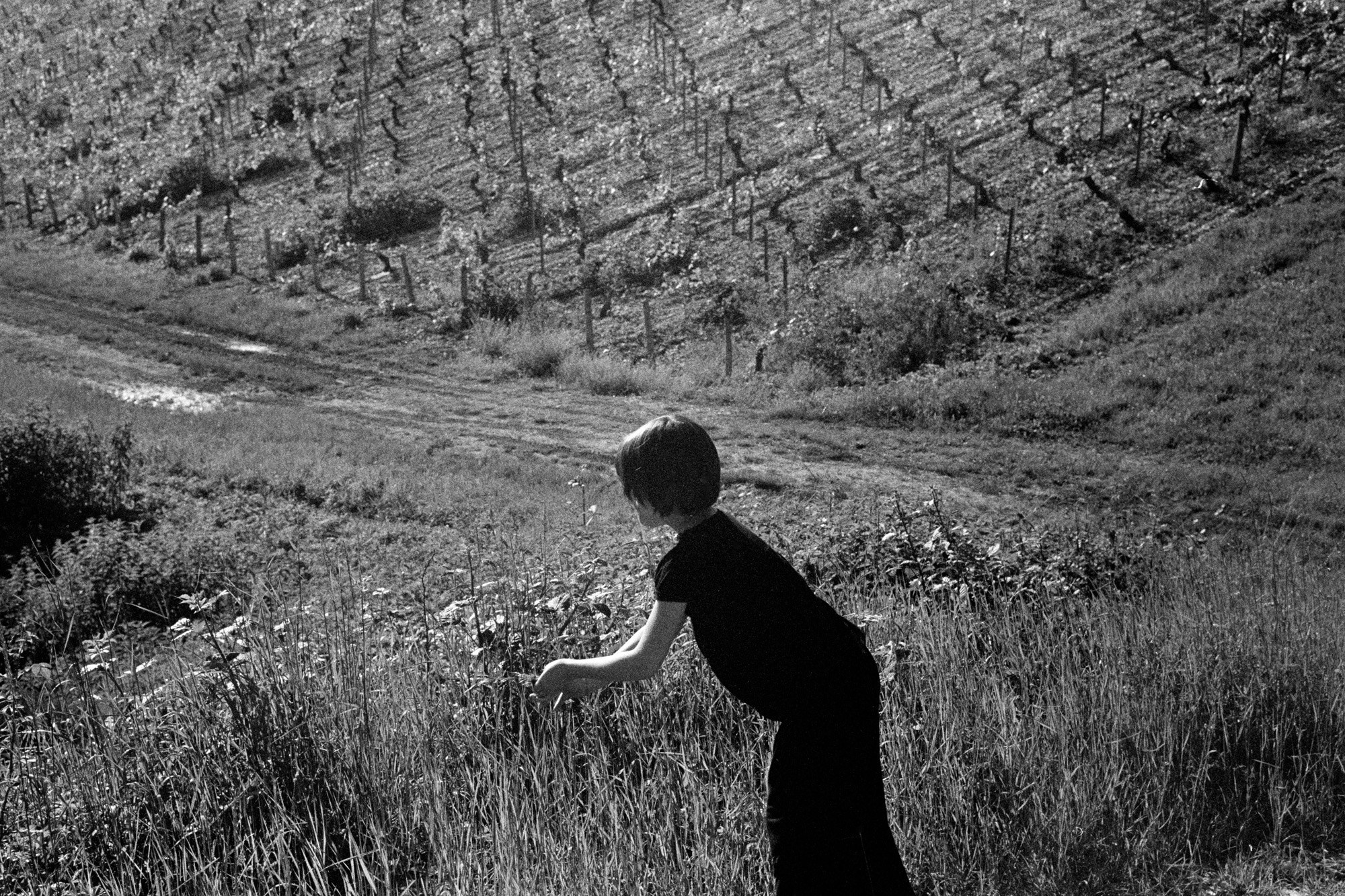Memories of France. Документальный фотограф Алексей Мякишев, Москва