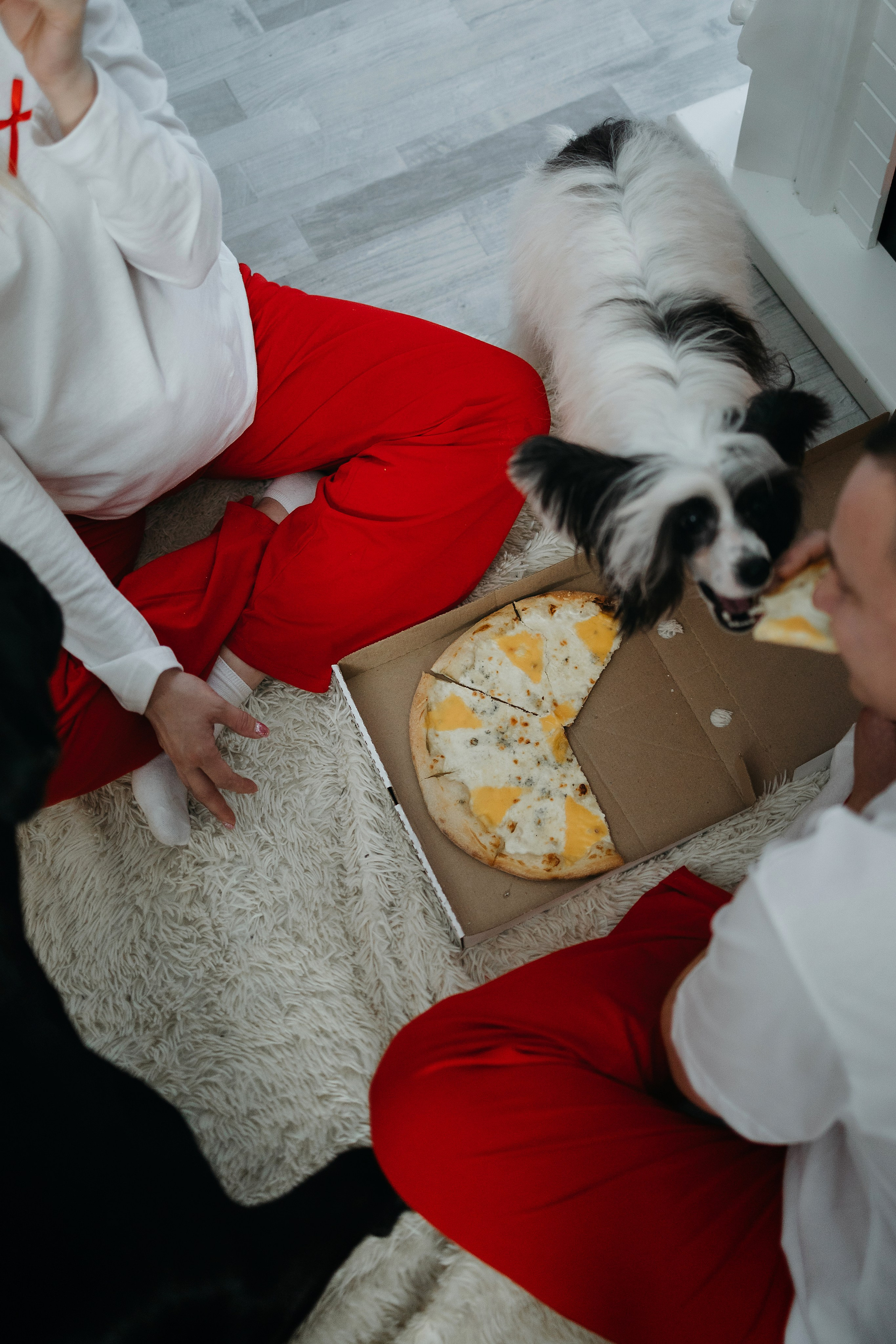 Владимир, Кристина, Айза, Панда. Фотограф — анималист Владивосток, Алина