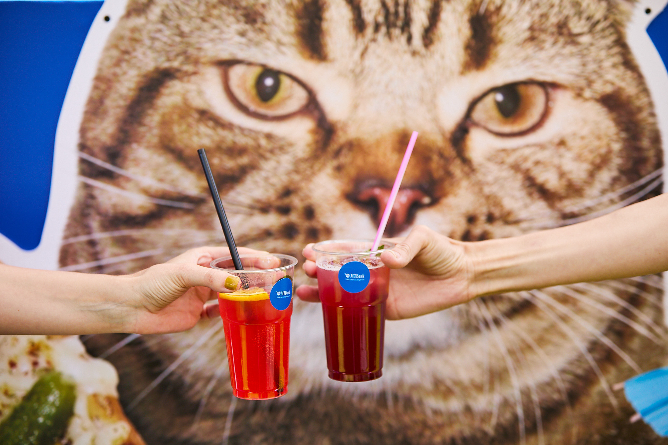 Summer party. Фотограф Дмитрий Смелов