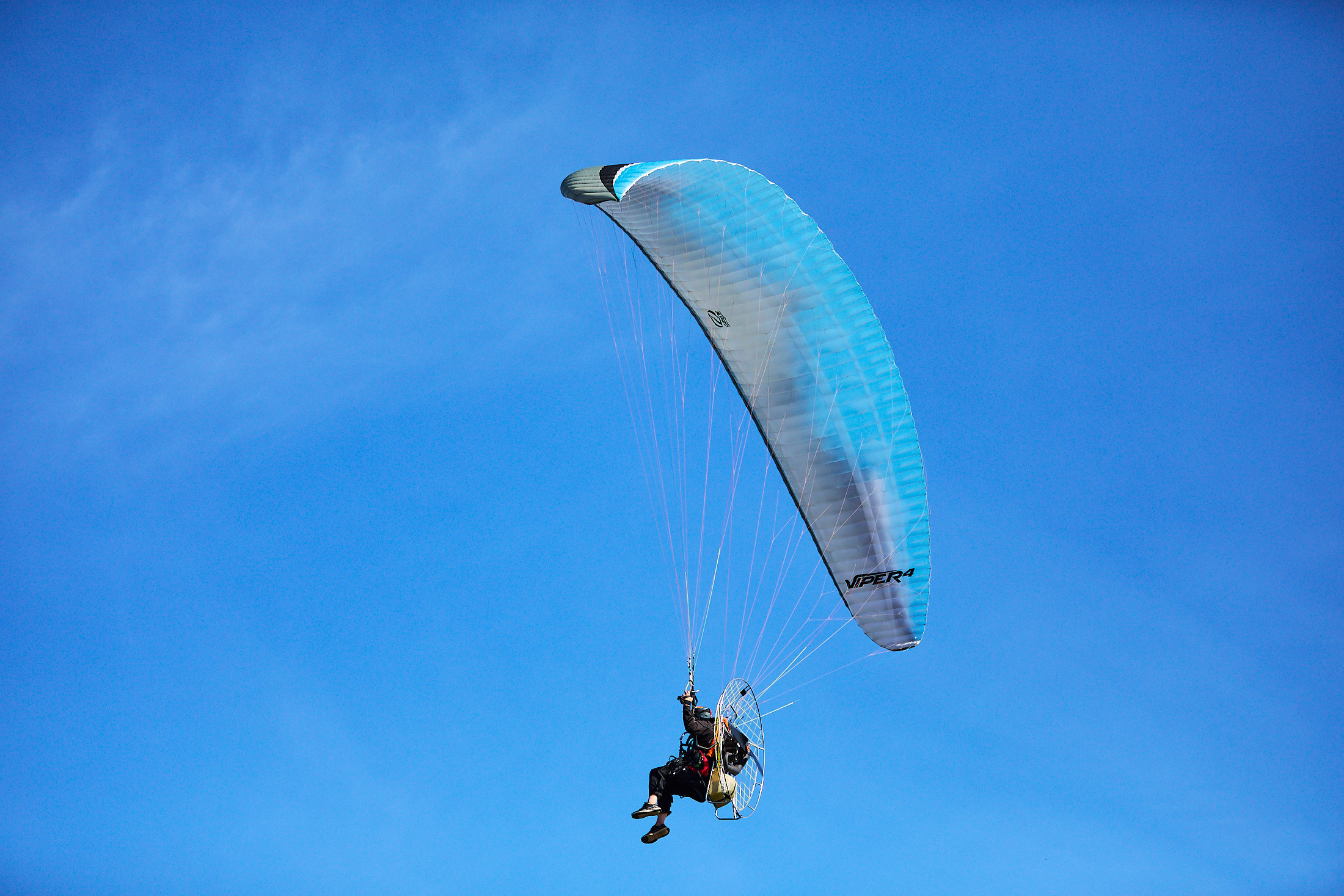 Summer party. Фотограф Дмитрий Смелов