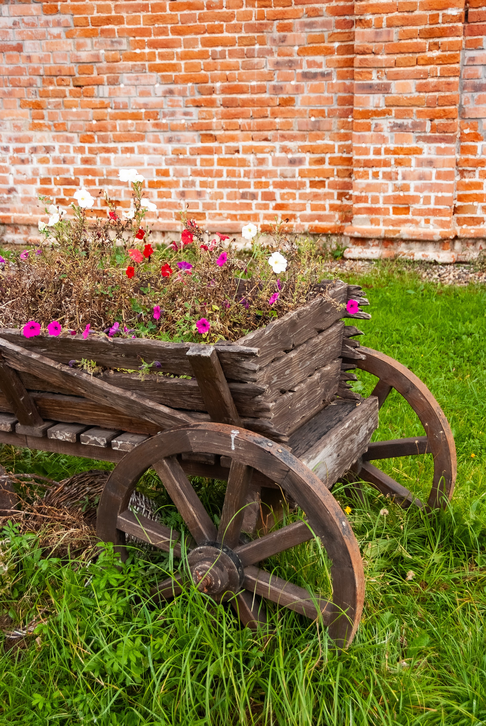 Путешествие по городам Золотого кольца во Владимирской области. Юрьев-Польский. Пейзажный фотограф Сергей Пестерев. Фото природы