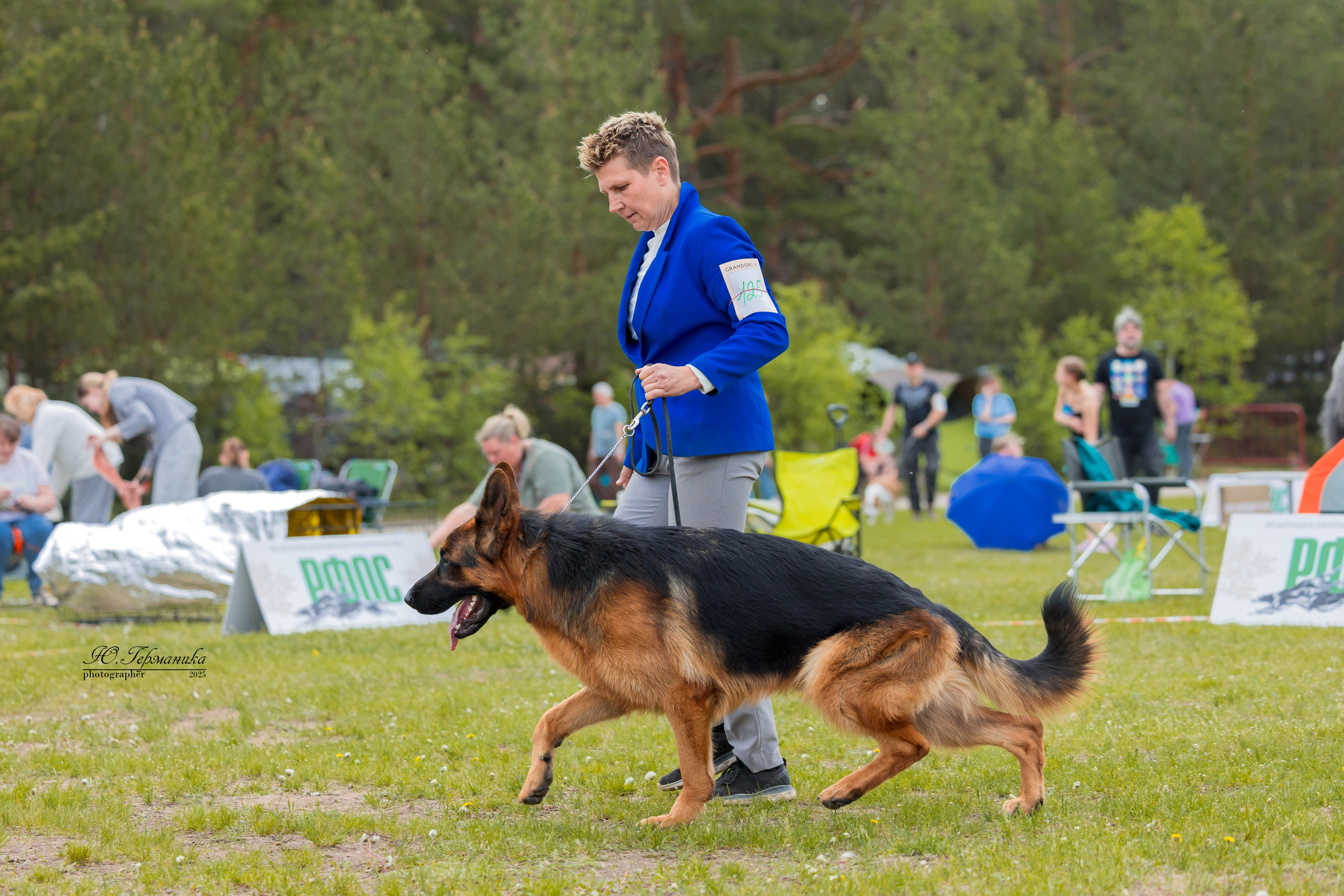 Суздаль(Владимир)17-18.05.2025. Фотограф-анималист Юлия Германика