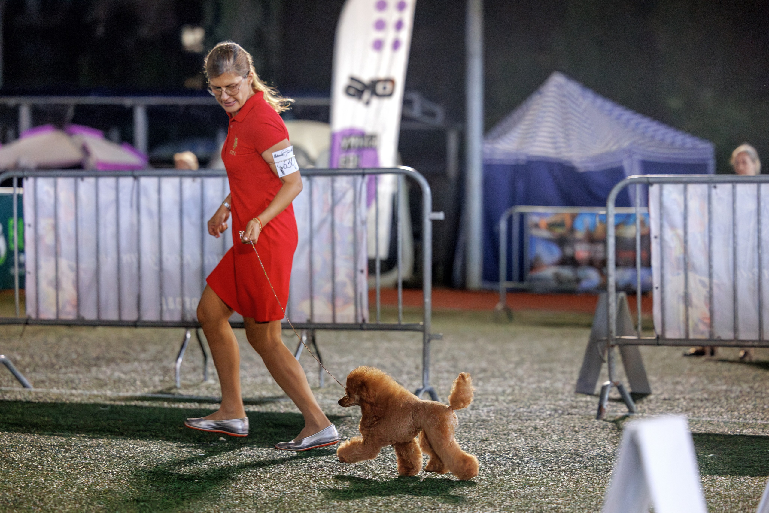 Калининград 25-27.07 Волгоград 1-3.08 2025. Фотограф-анималист Юлия Германика