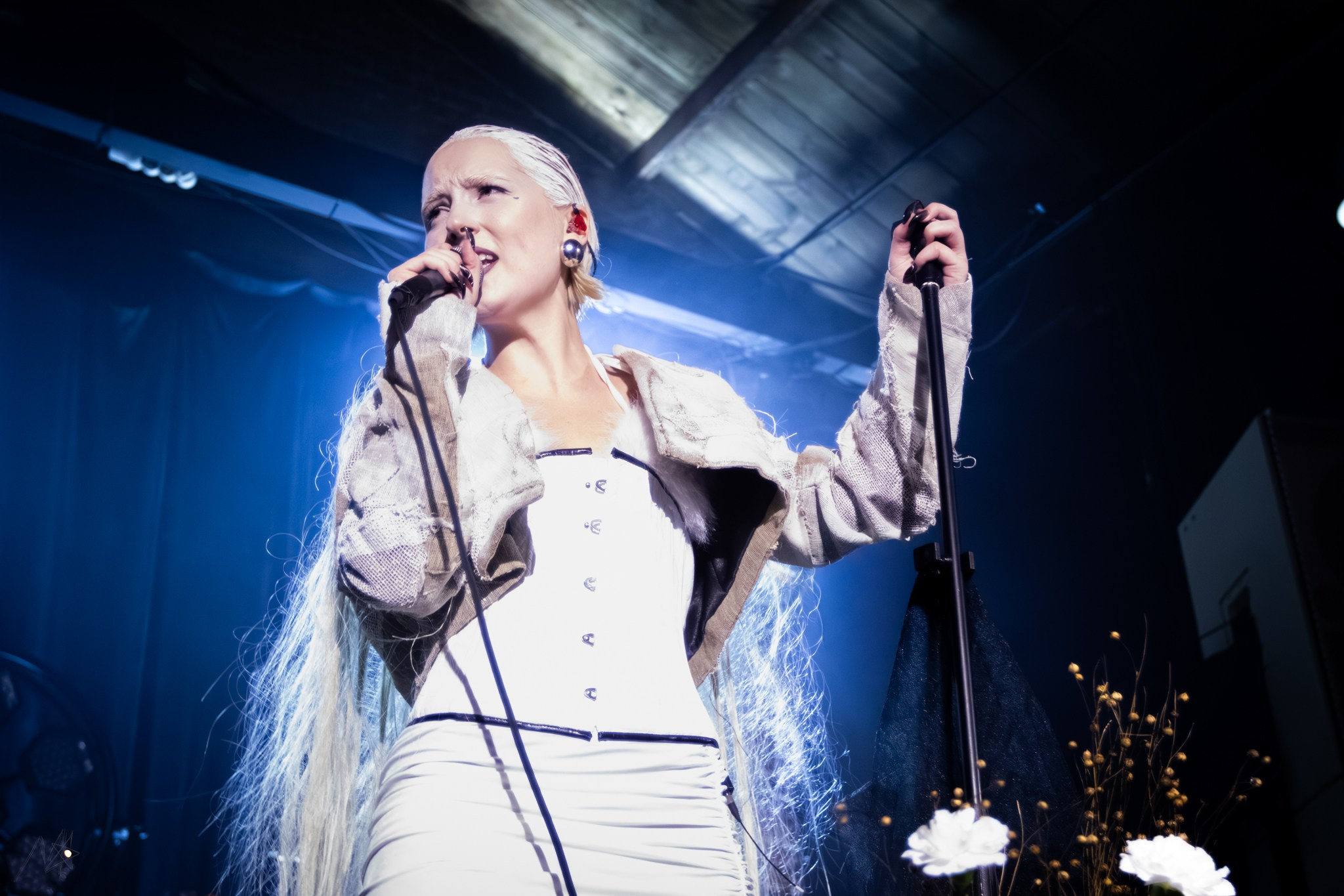 Беатрис. Концертный фотограф