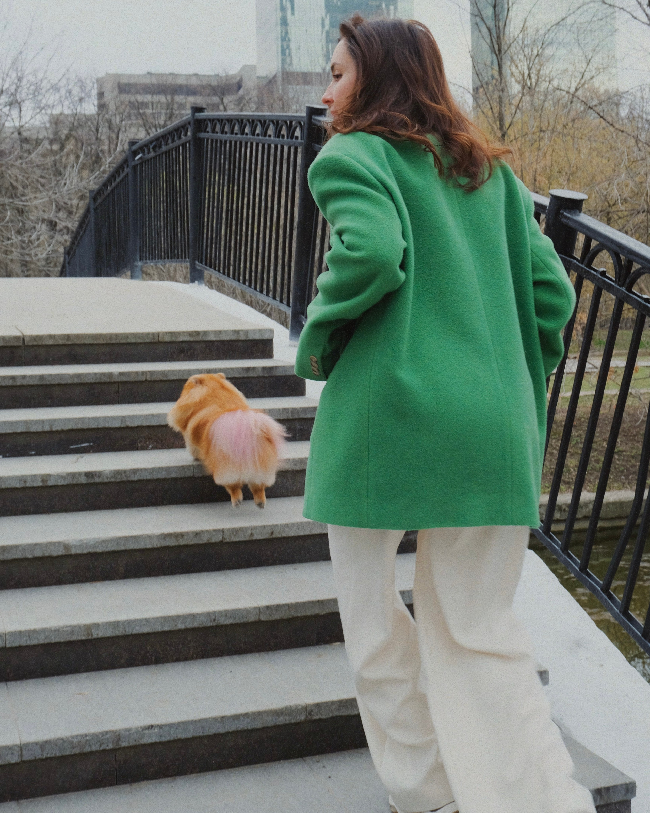 Питомцы. Татьян гертье