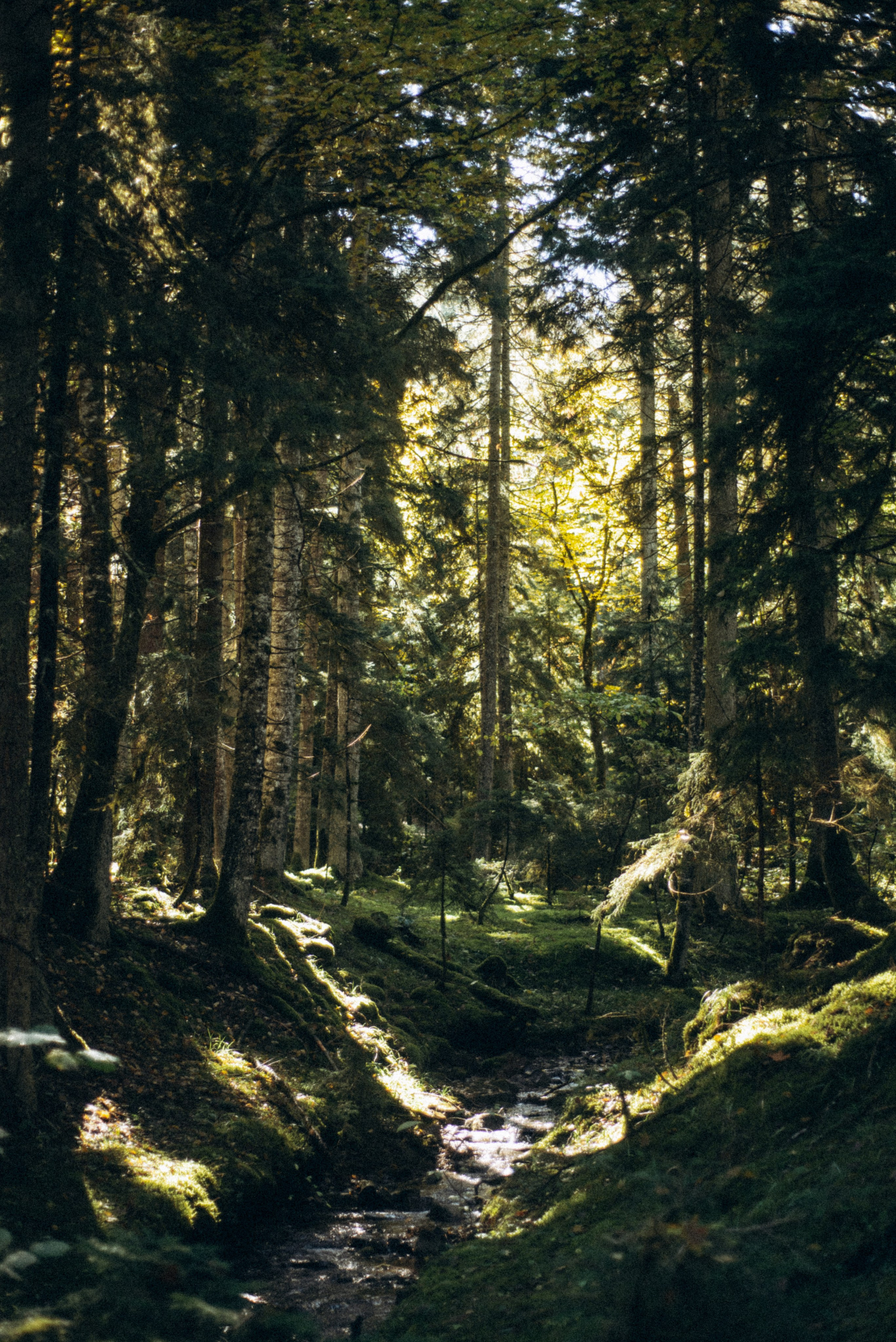 Боржоми, Грузия 🇬🇪. Anita_photo