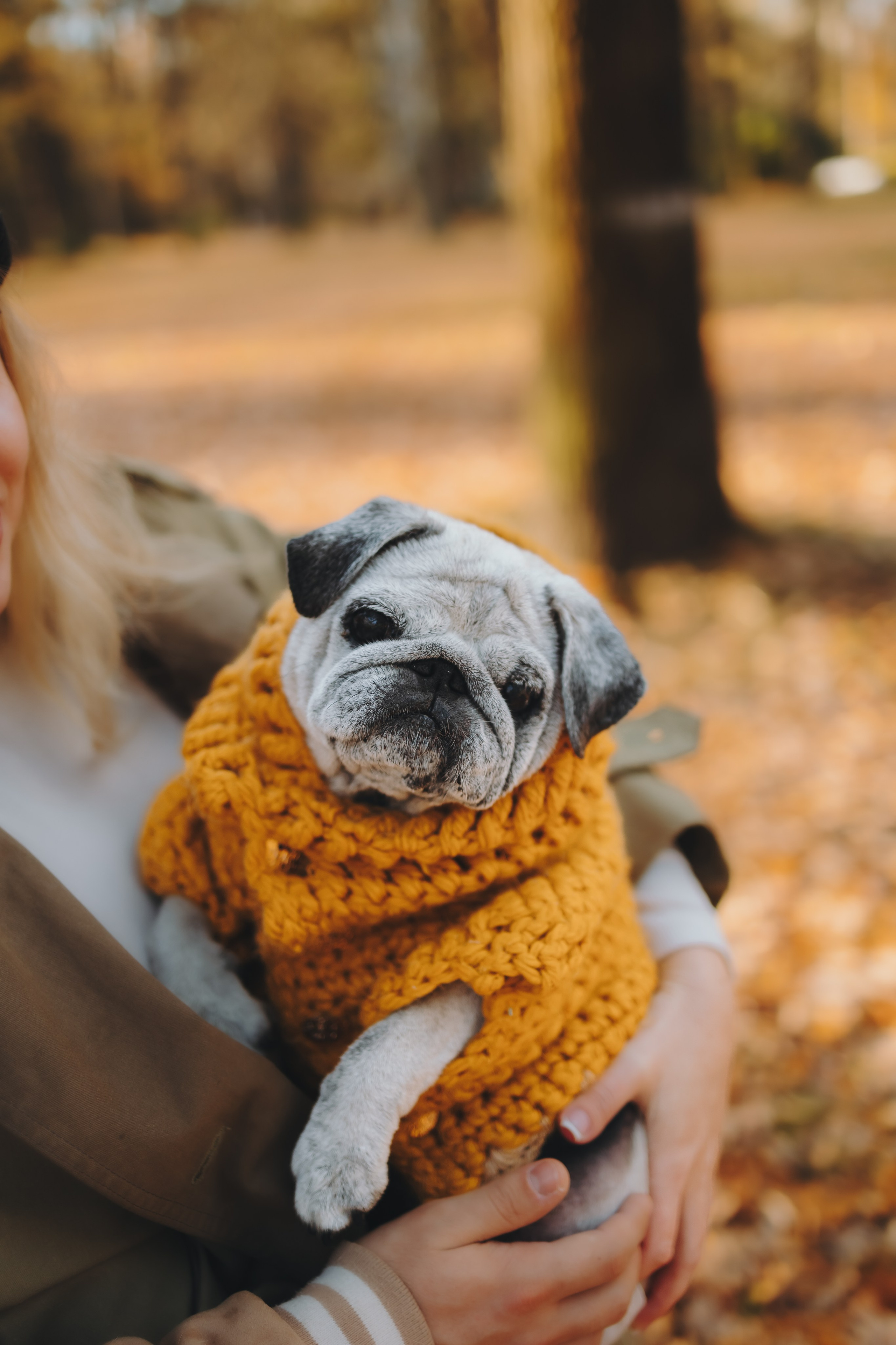 Габи и ребята. Фотограф-анималист в Санкт-Петербурге Алина Яхонт