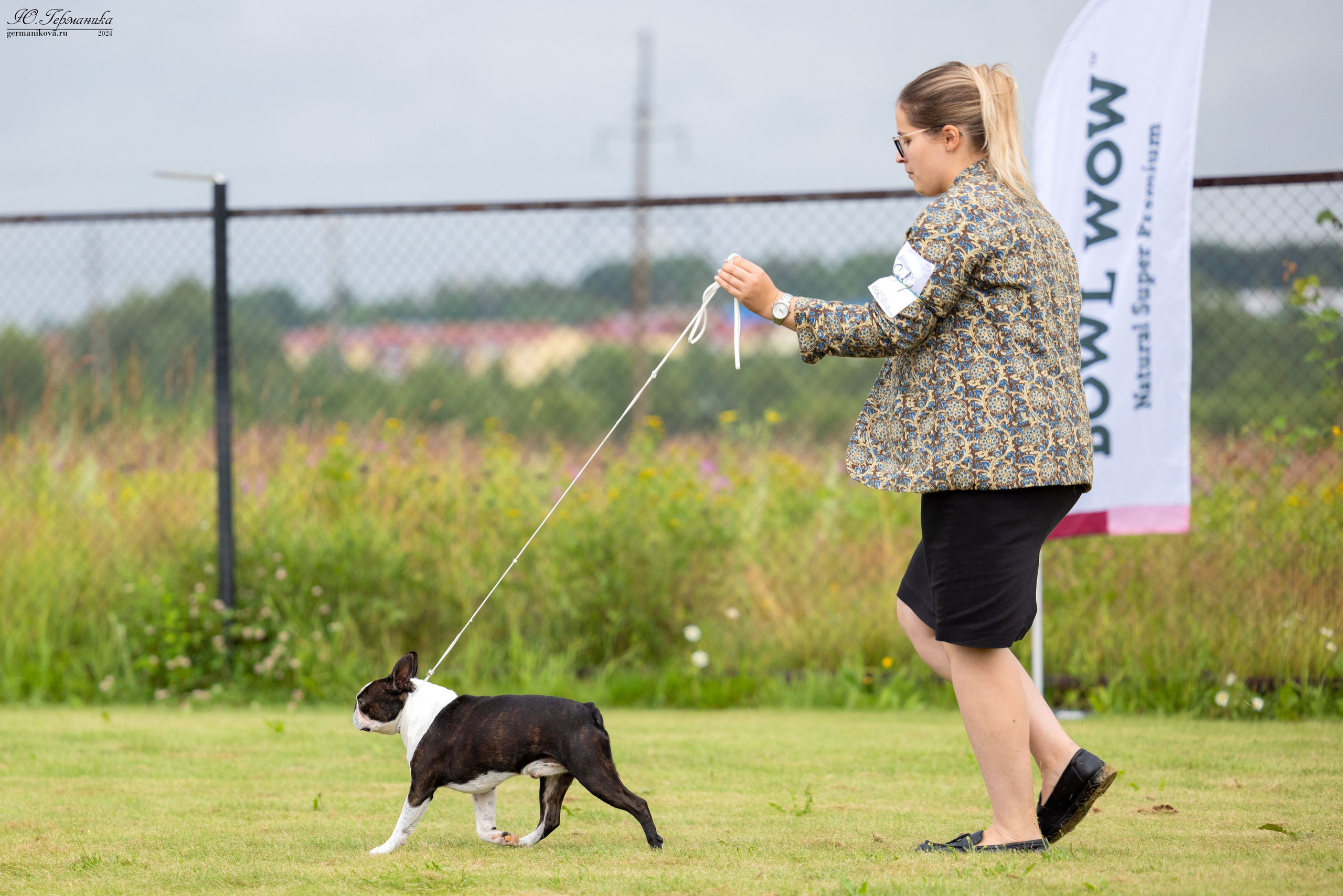 Ярославль 21.07.24 и Балашиха 13.07.24. Фотограф-анималист Юлия Германика