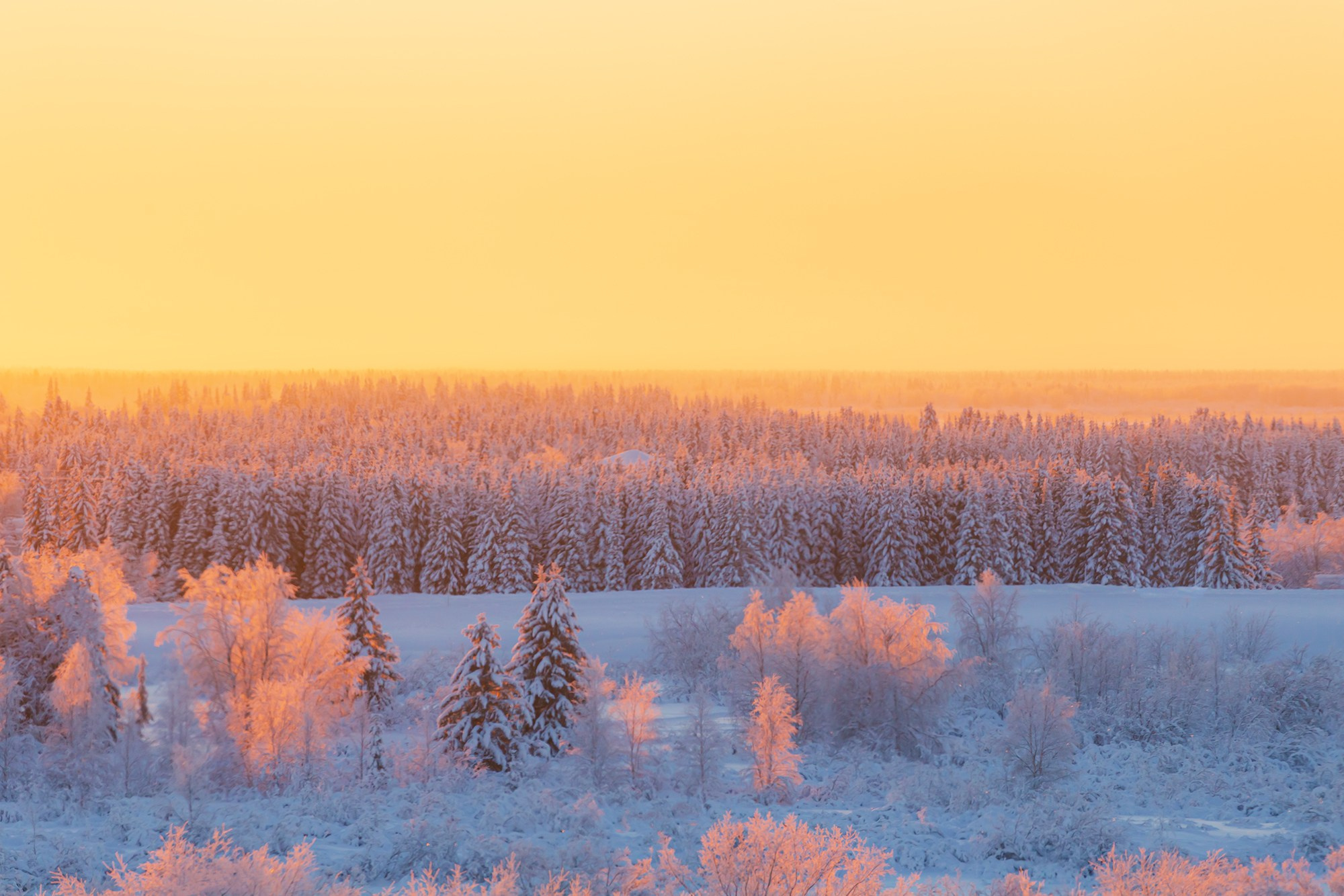Ненецкий автономный округ. Тревел-фотограф Елизавета Ларионова
