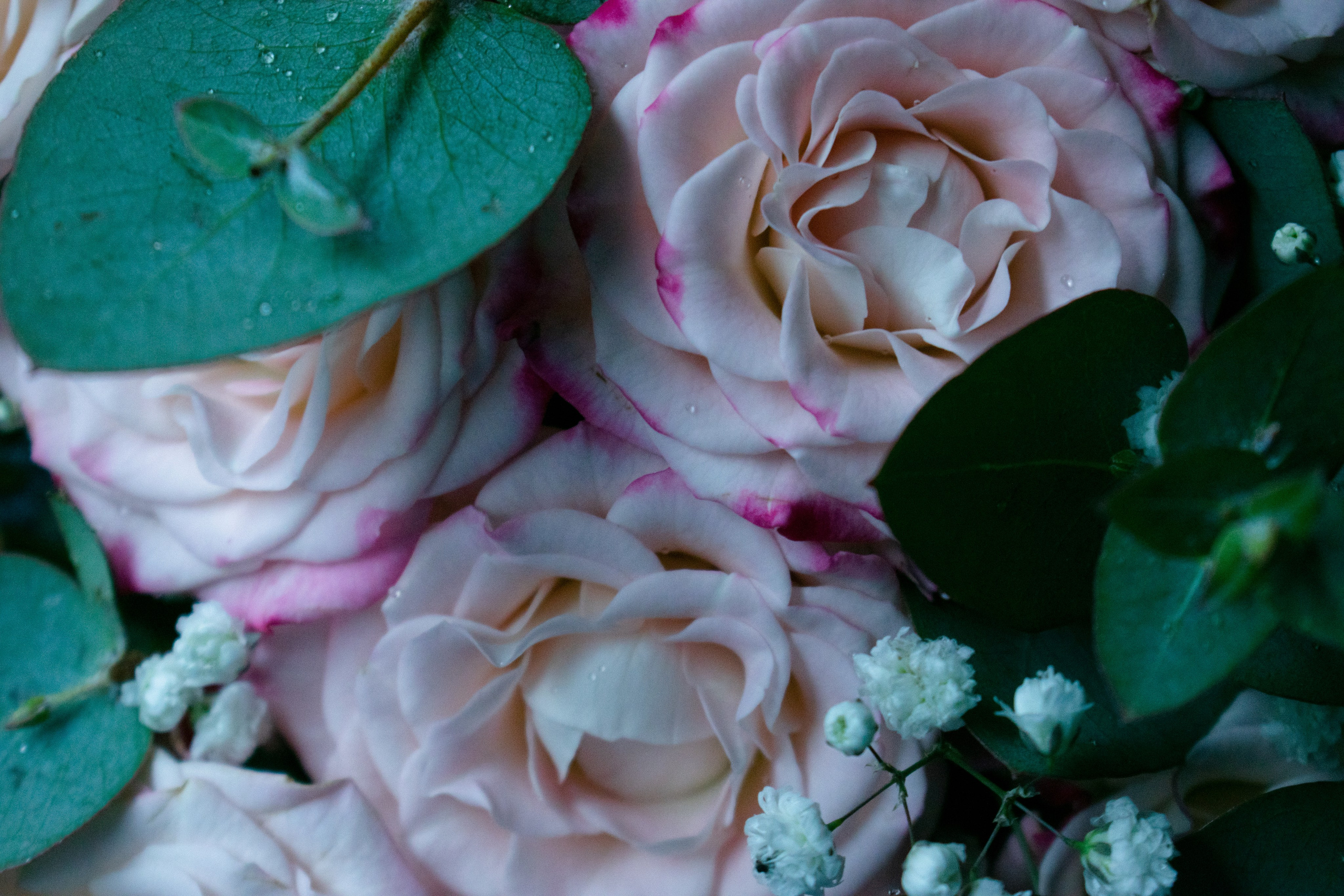 Свадьба для двоих. Фотограф Зеленоград Москва